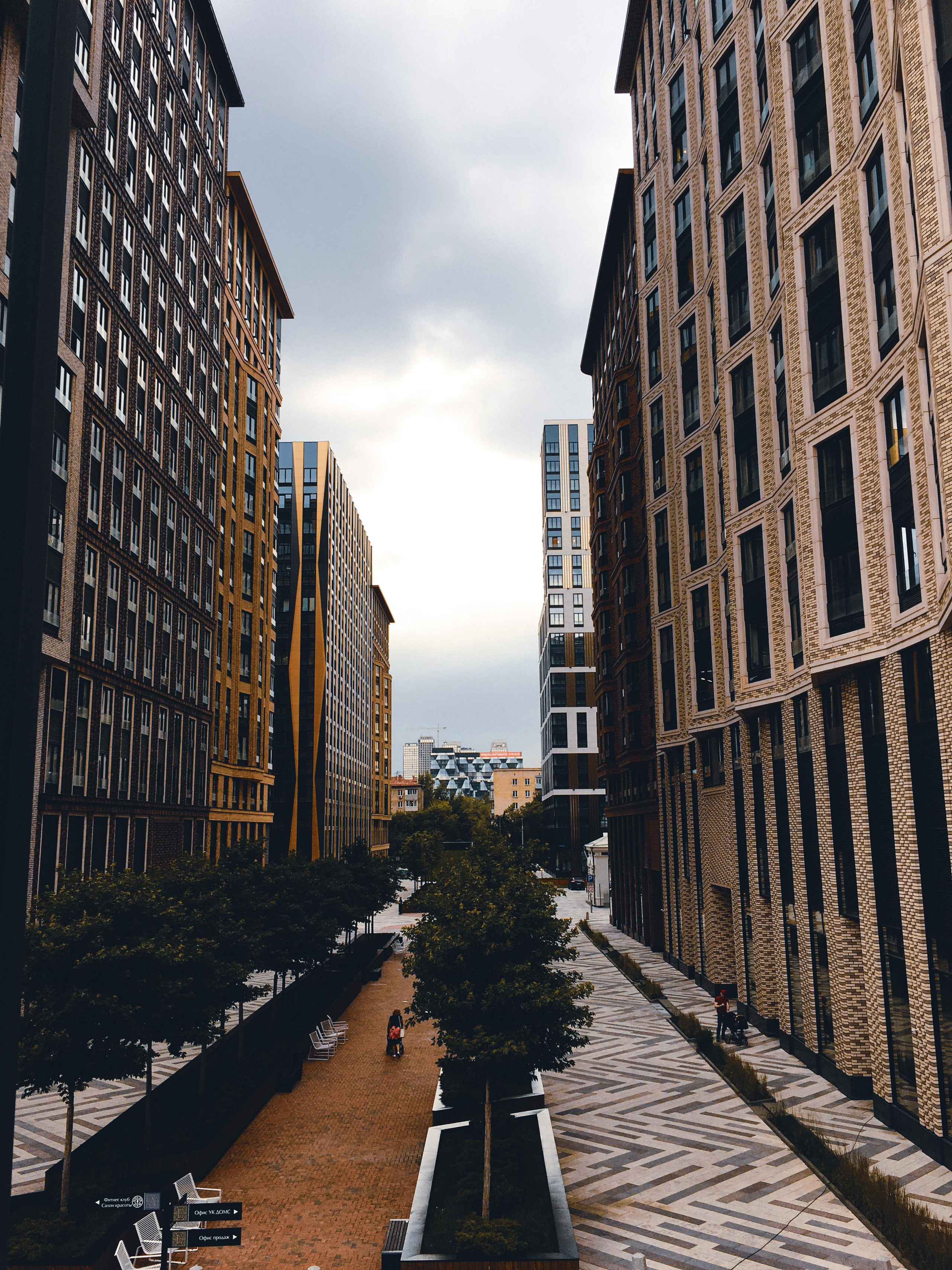 Фотографии на телефон. Фотограф Москва Андриевский Максим, обучение фотографии