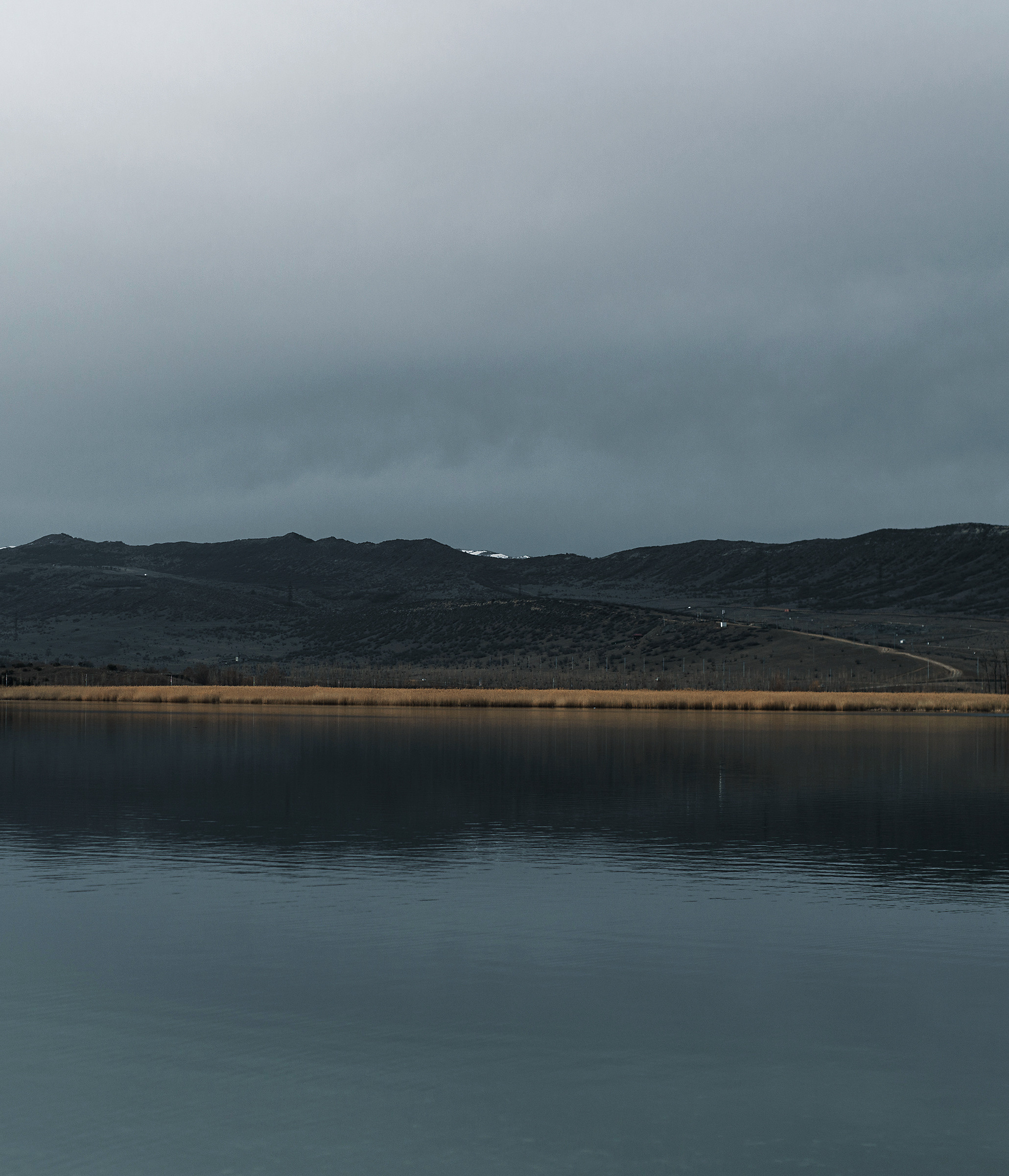 Атмосферные фотографии природы. Фотограф Москва Андриевский Максим, обучение фотографии