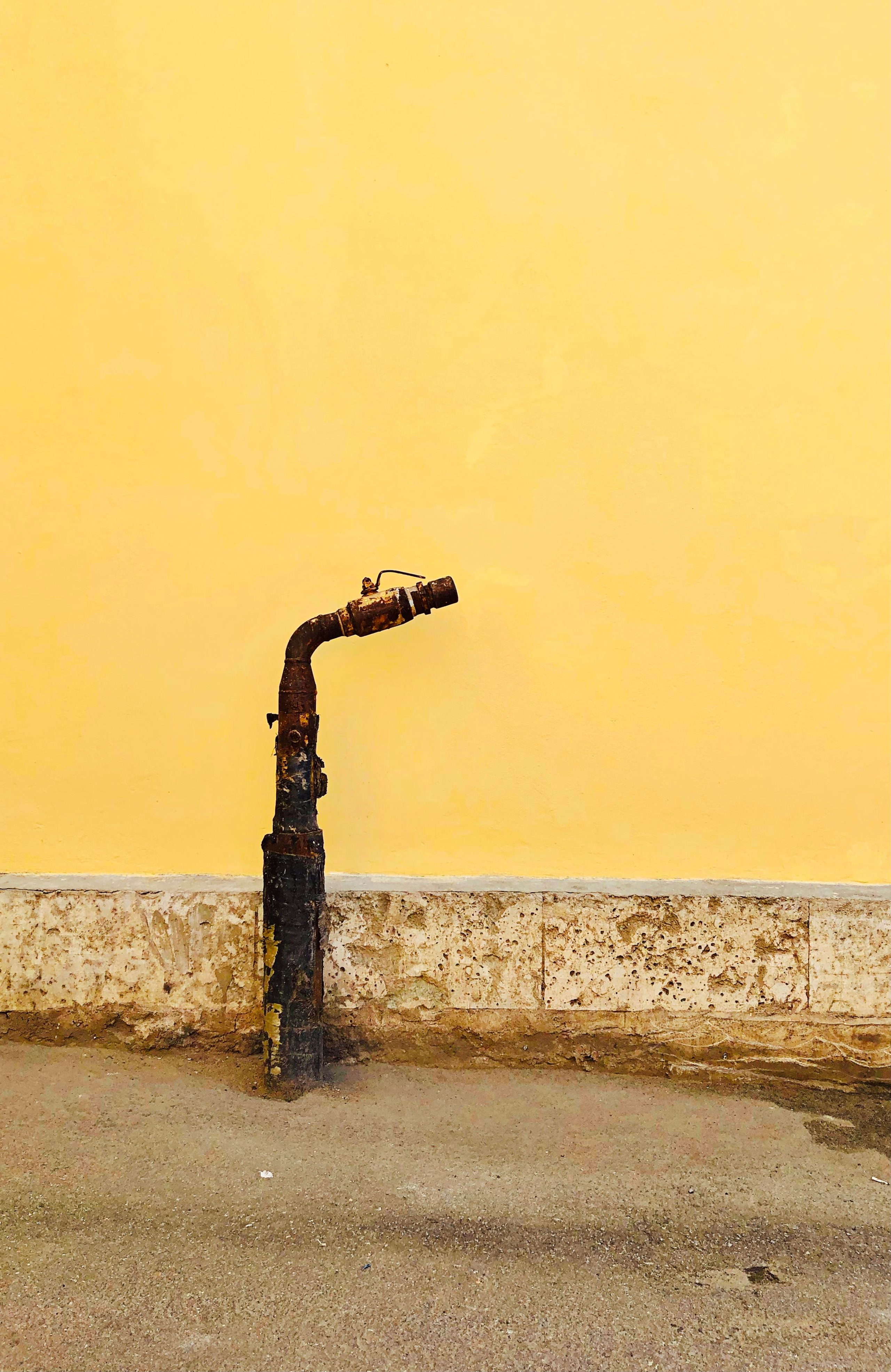 Фотографии на телефон. Фотограф Москва Андриевский Максим, обучение фотографии