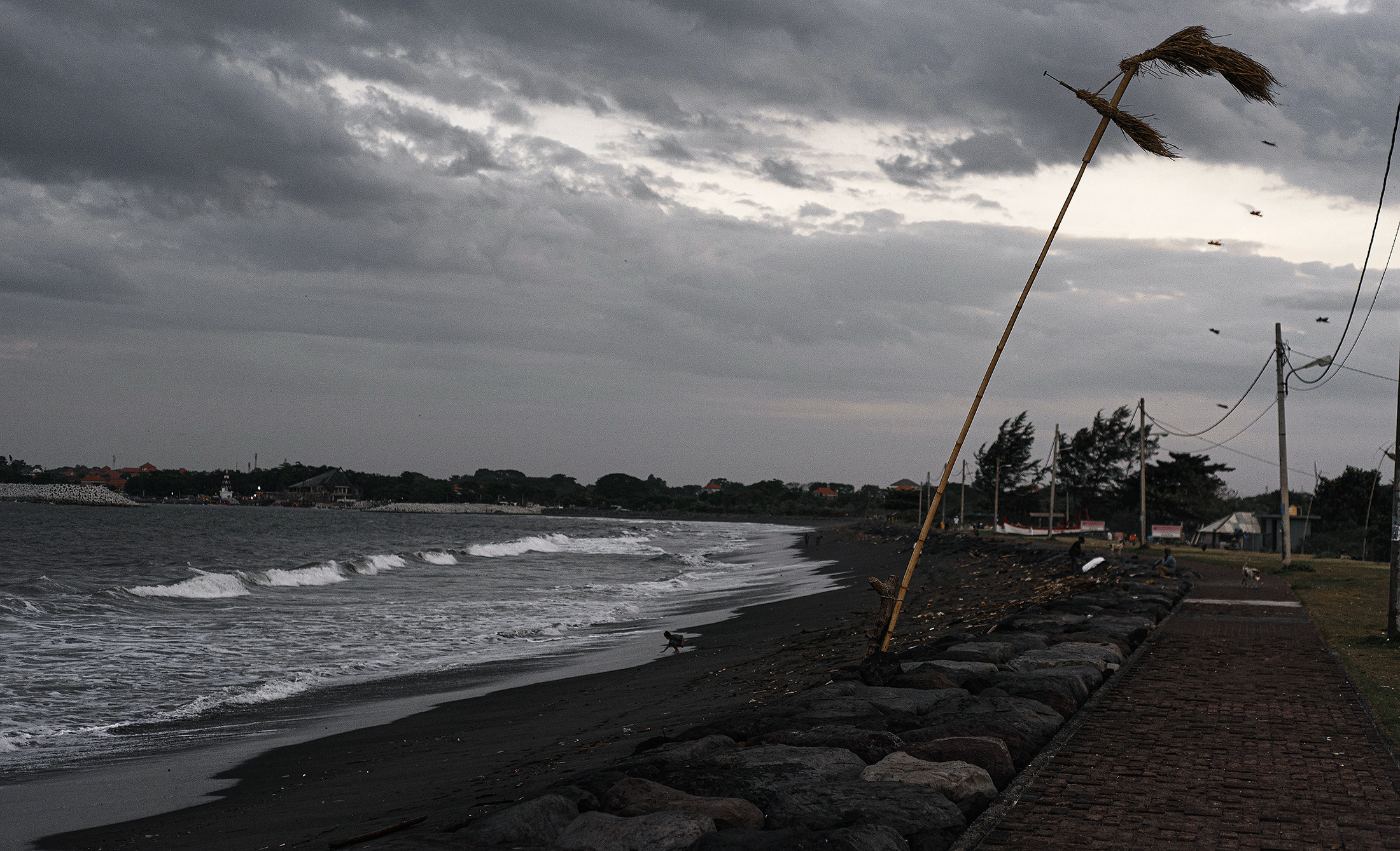 Атмосферные фотографии природы. Фотограф Москва Андриевский Максим, обучение фотографии