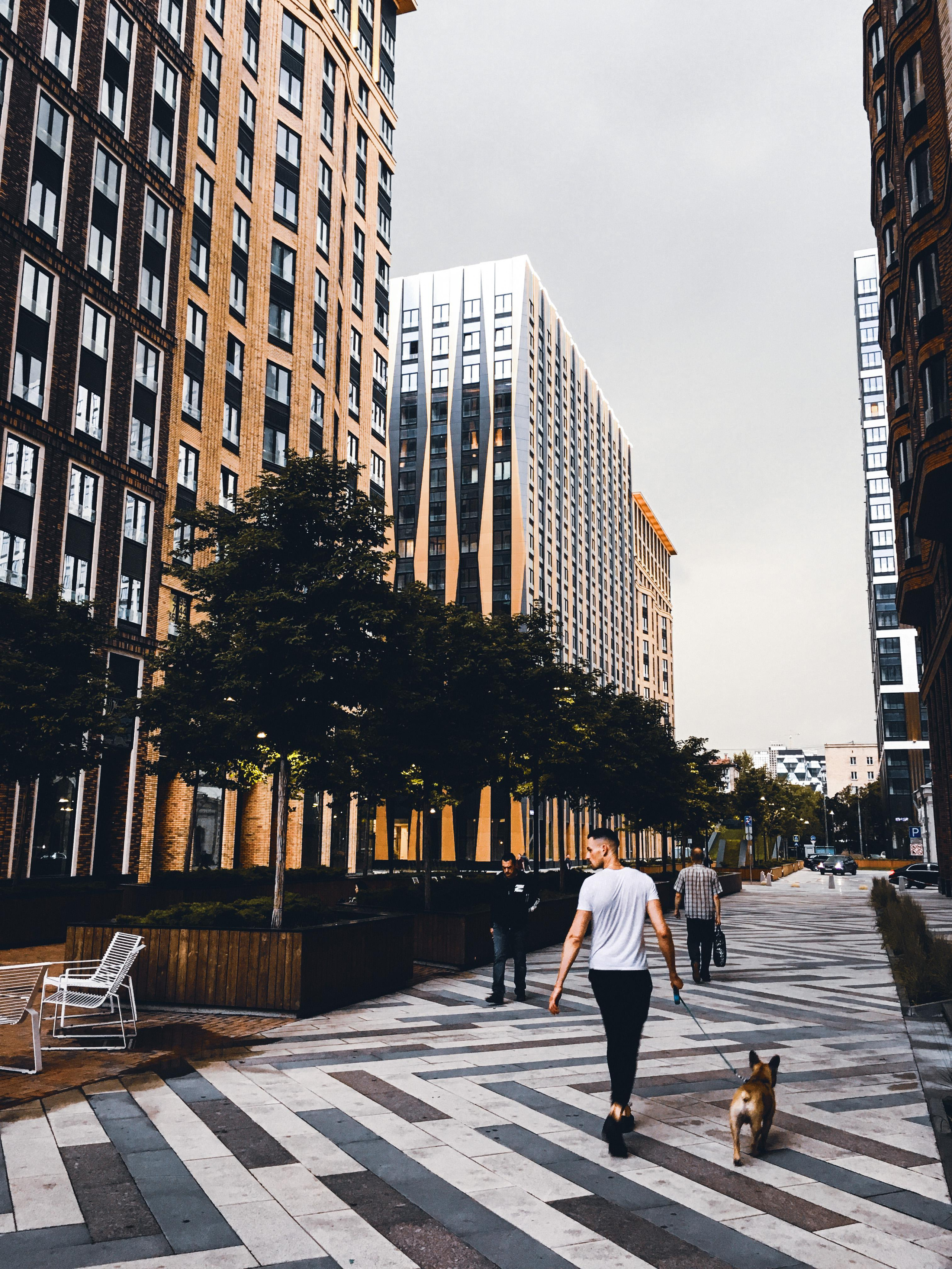 Фотографии на телефон. Фотограф Москва Андриевский Максим, обучение фотографии