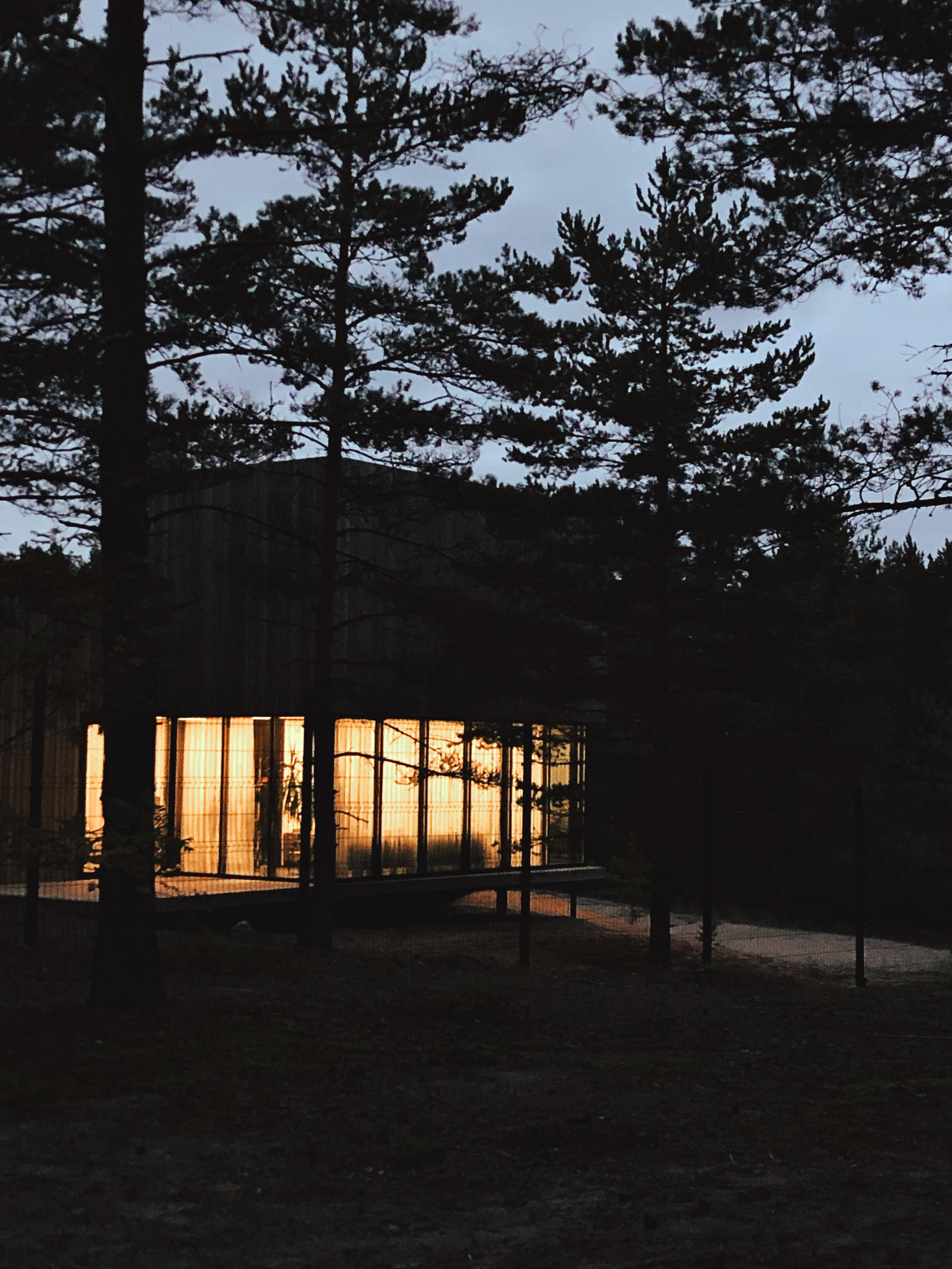 Фотографии на телефон. Фотограф Москва Андриевский Максим, обучение фотографии