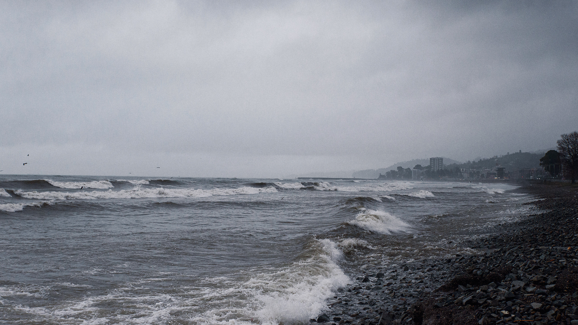 Атмосферные фотографии природы. Фотограф Москва Андриевский Максим, обучение фотографии
