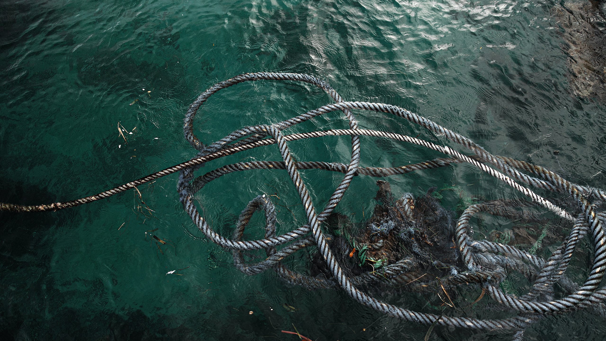 Атмосферные фотографии природы. Фотограф Москва Андриевский Максим, обучение фотографии