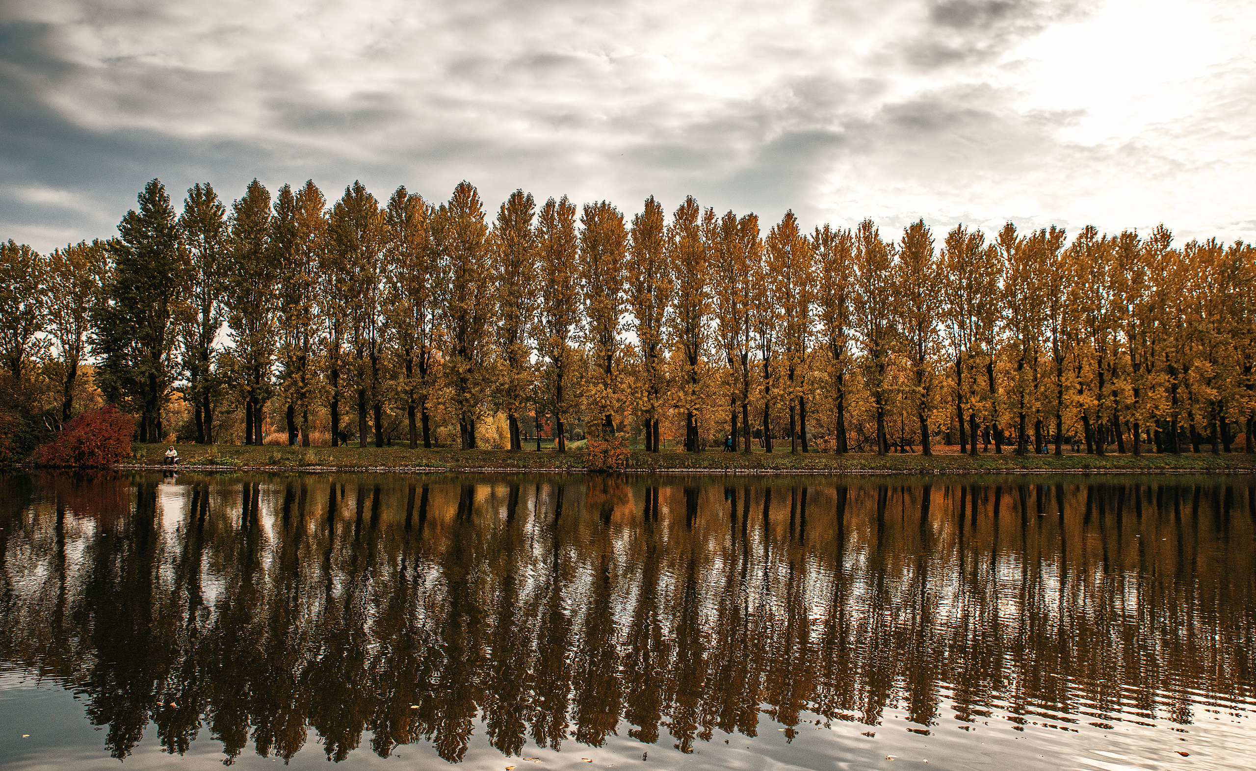 Атмосферные фотографии природы. Фотограф Москва Андриевский Максим, обучение фотографии