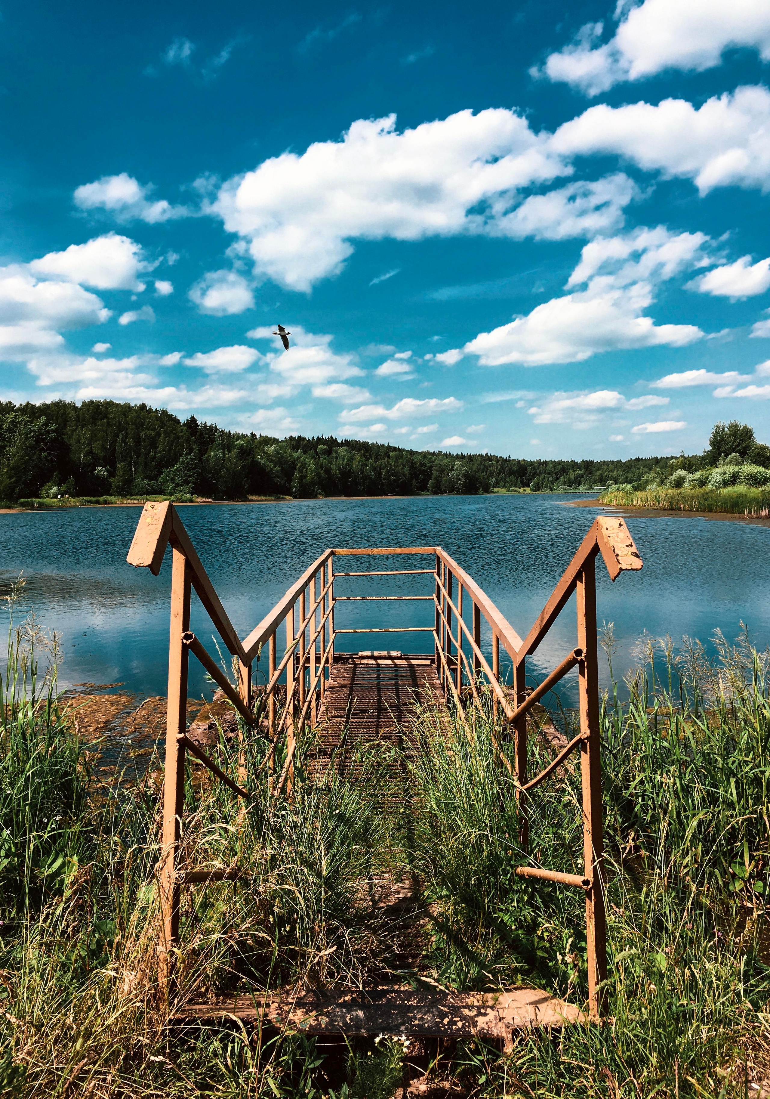 Фотографии на телефон. Фотограф Москва Андриевский Максим, обучение фотографии