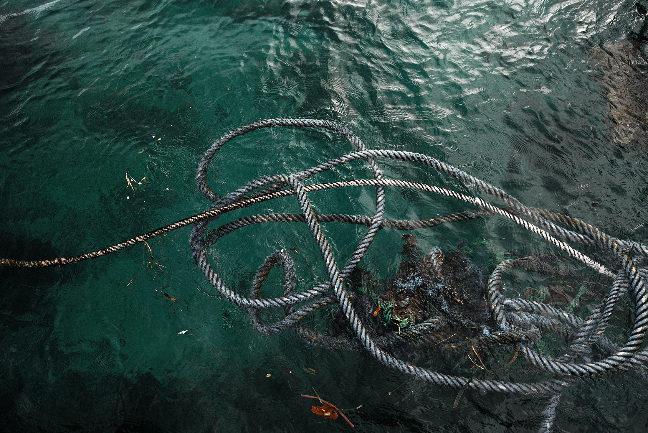 Атмосферные фотографии природы. Фотограф Москва Андриевский Максим, обучение фотографии