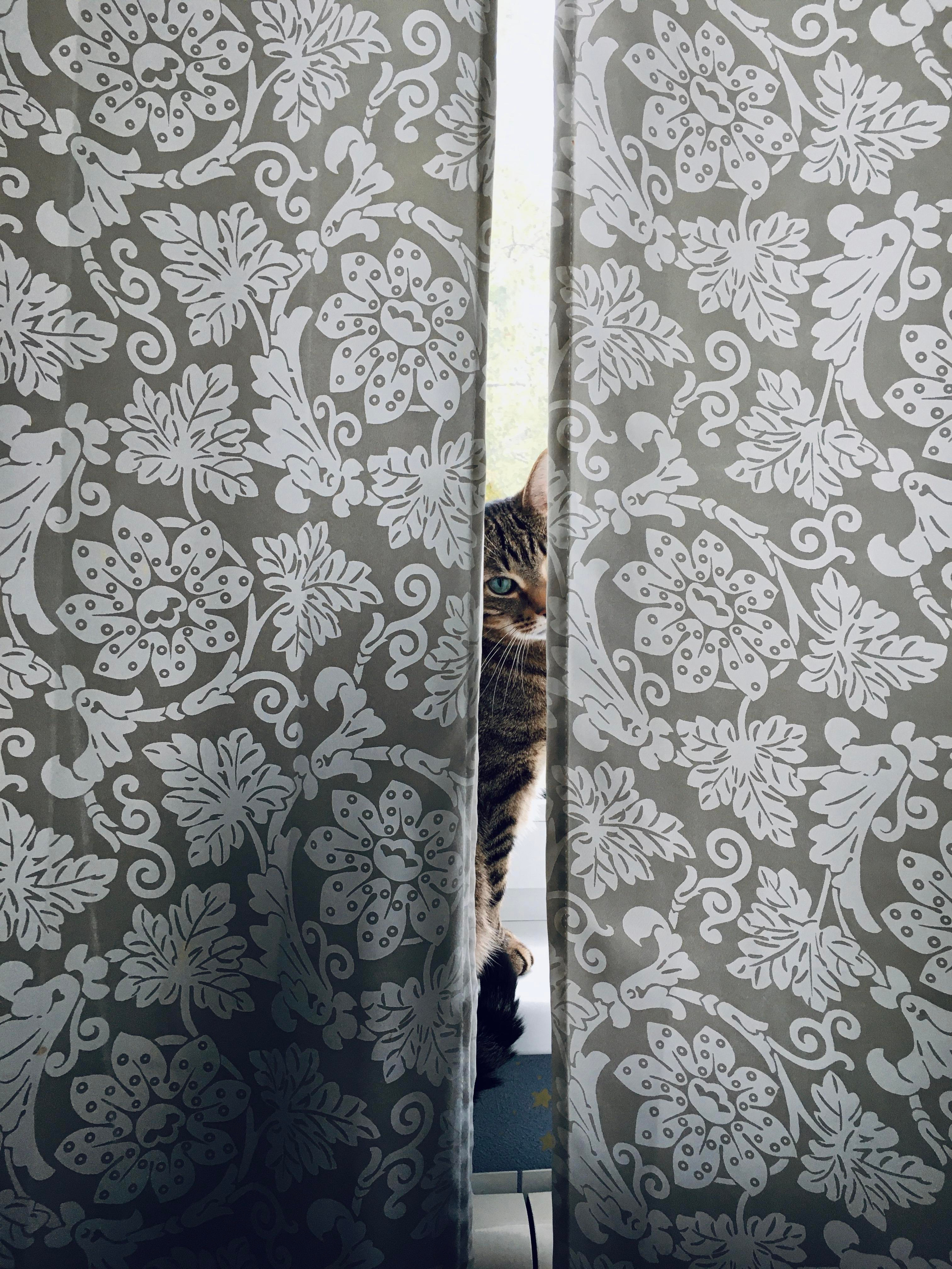 Фотографии на телефон. Фотограф Москва Андриевский Максим, обучение фотографии