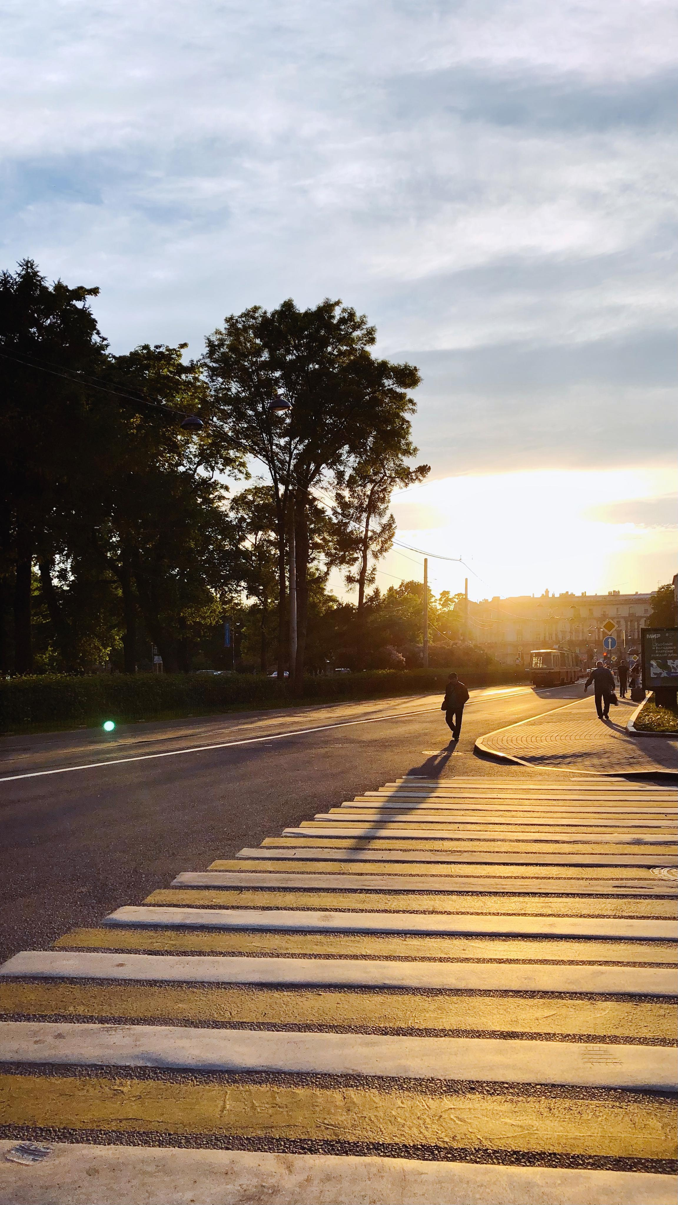 Фотографии на телефон. Фотограф Москва Андриевский Максим, обучение фотографии