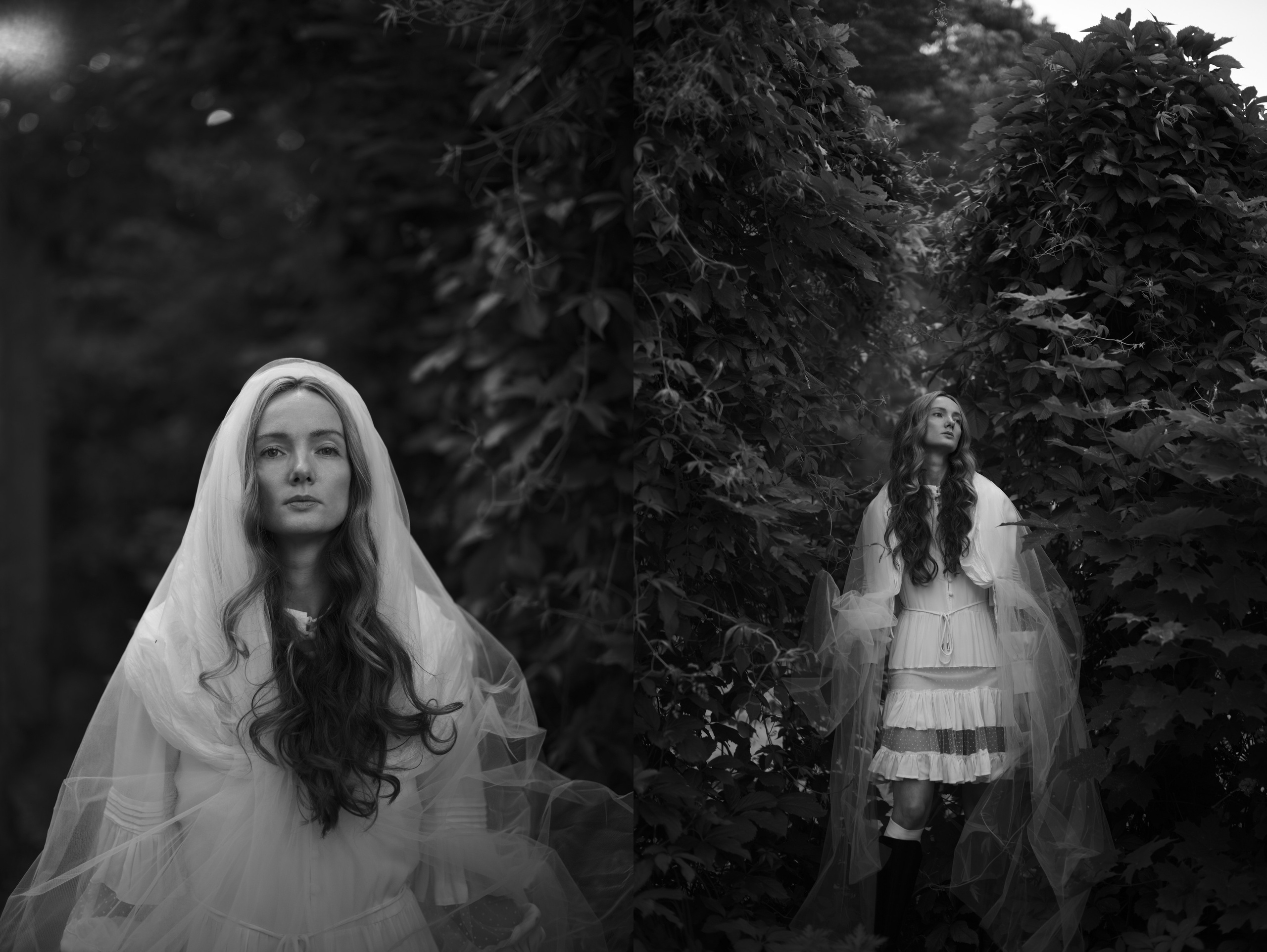 Мир Виктории. Фотограф Александр Медведев