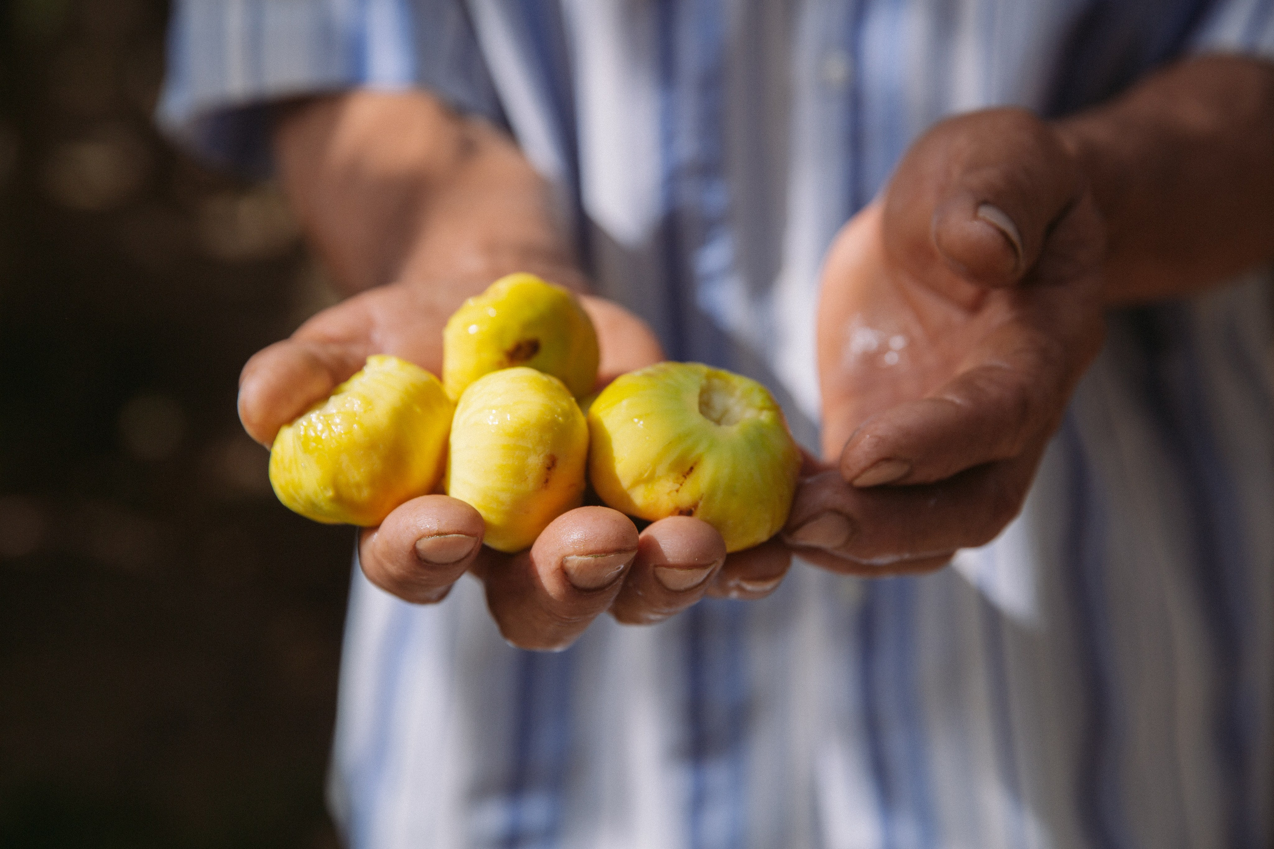 Uzbekistan. Lena Sorokina photographer, Astana, Kazakhstan