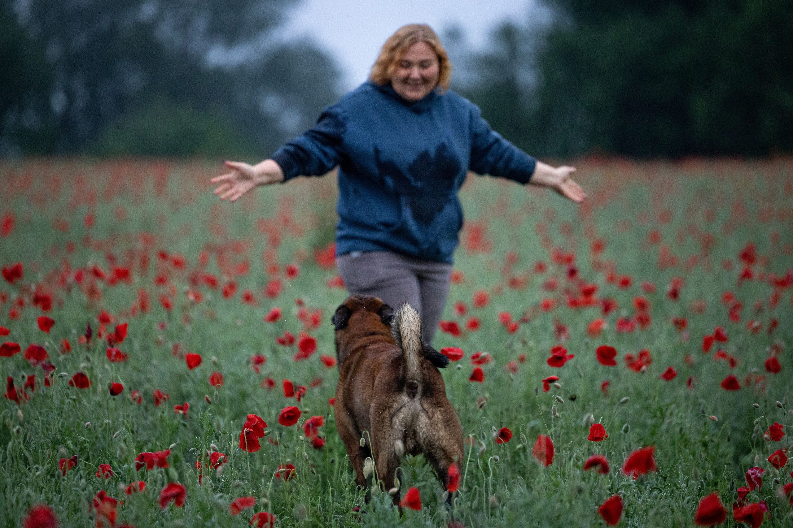 Маковое поле. Фотограф-анималист Анна Маринич