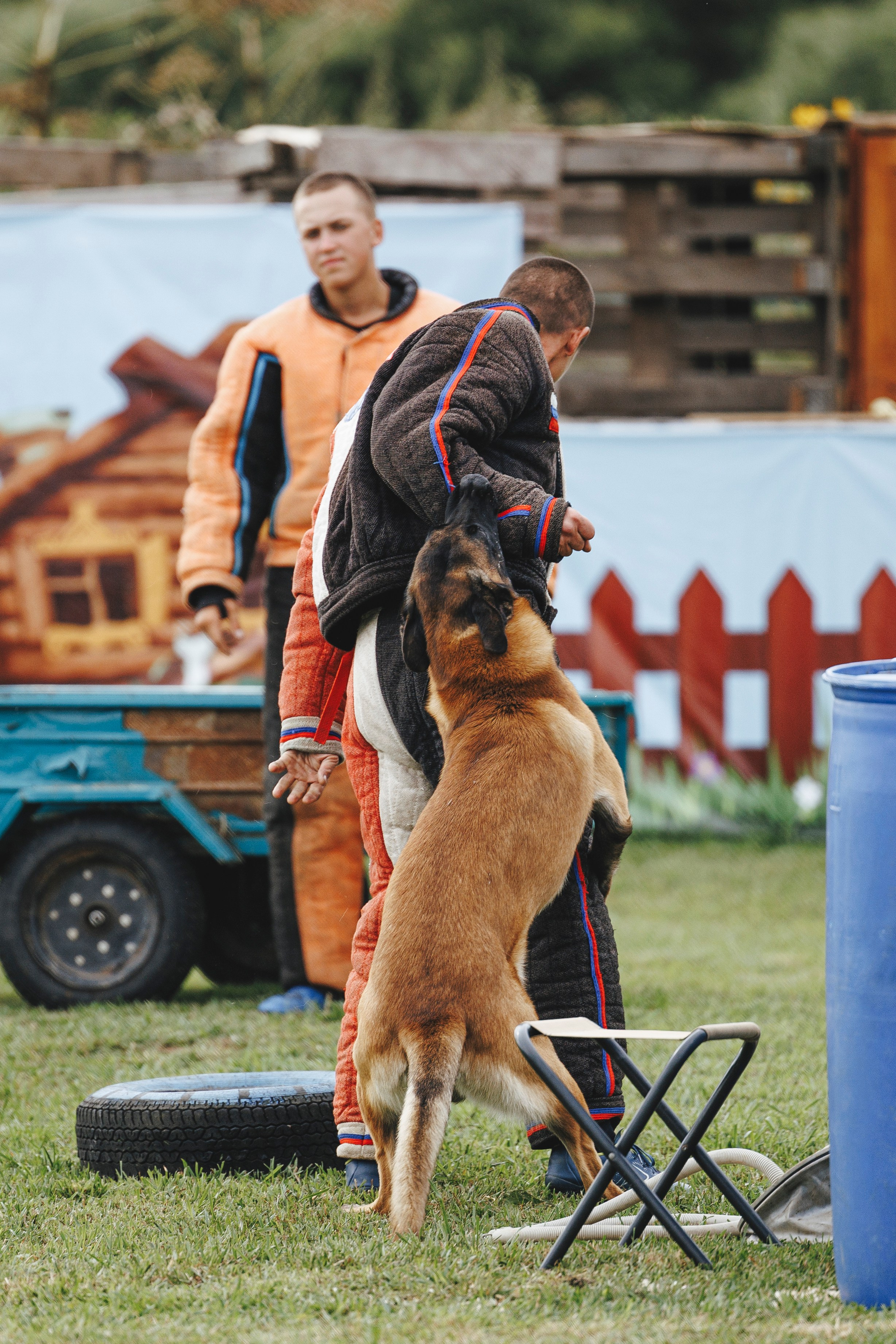 08.08.25-10.08.25 ЧР по мондьорингу г. Вологда. Фотограф-анималист Анна Маринич
