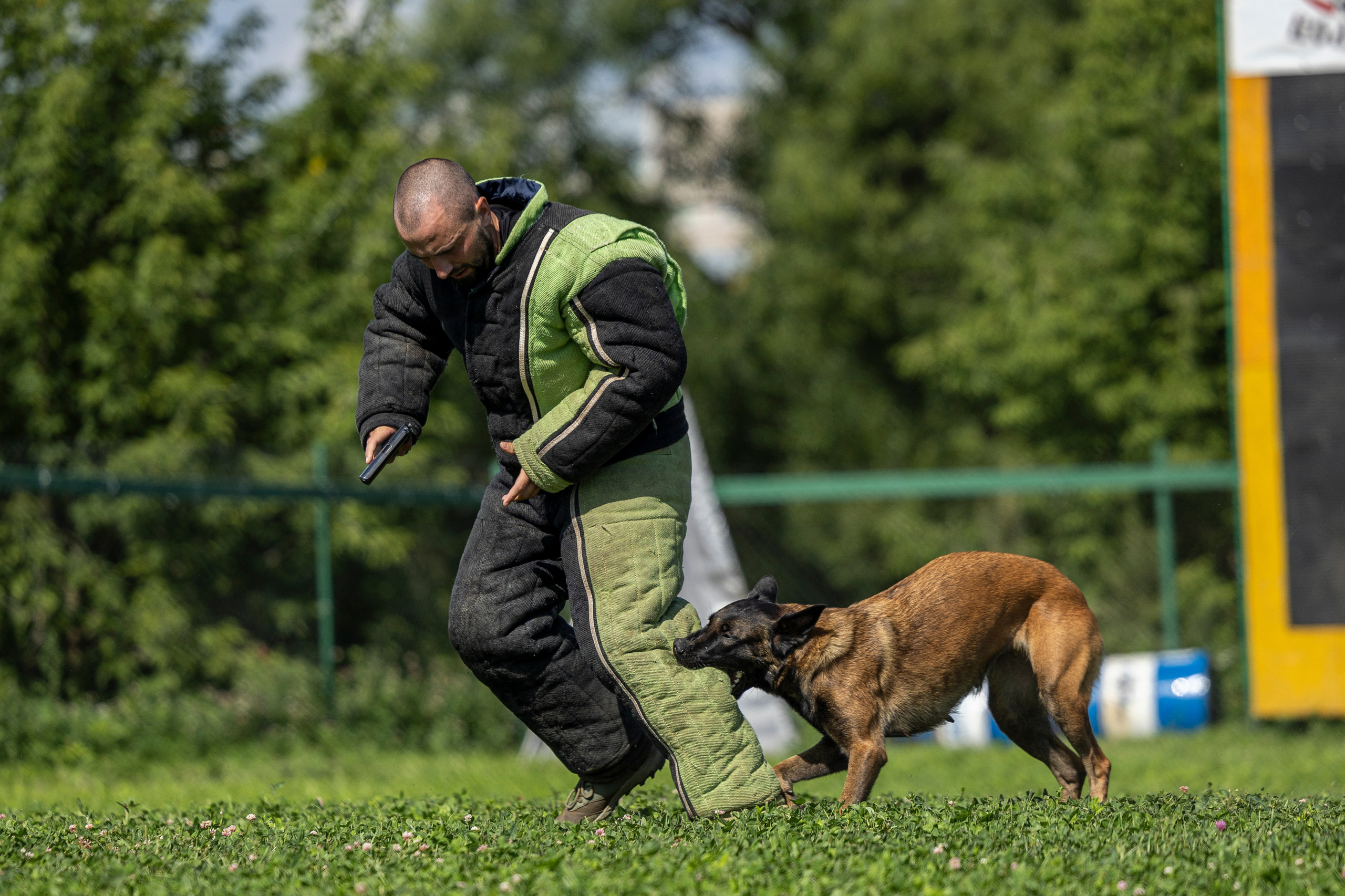 Соревнования по Мондьорингу г. Вологда 10-11.08.2024. Фотограф-анималист Анна Маринич