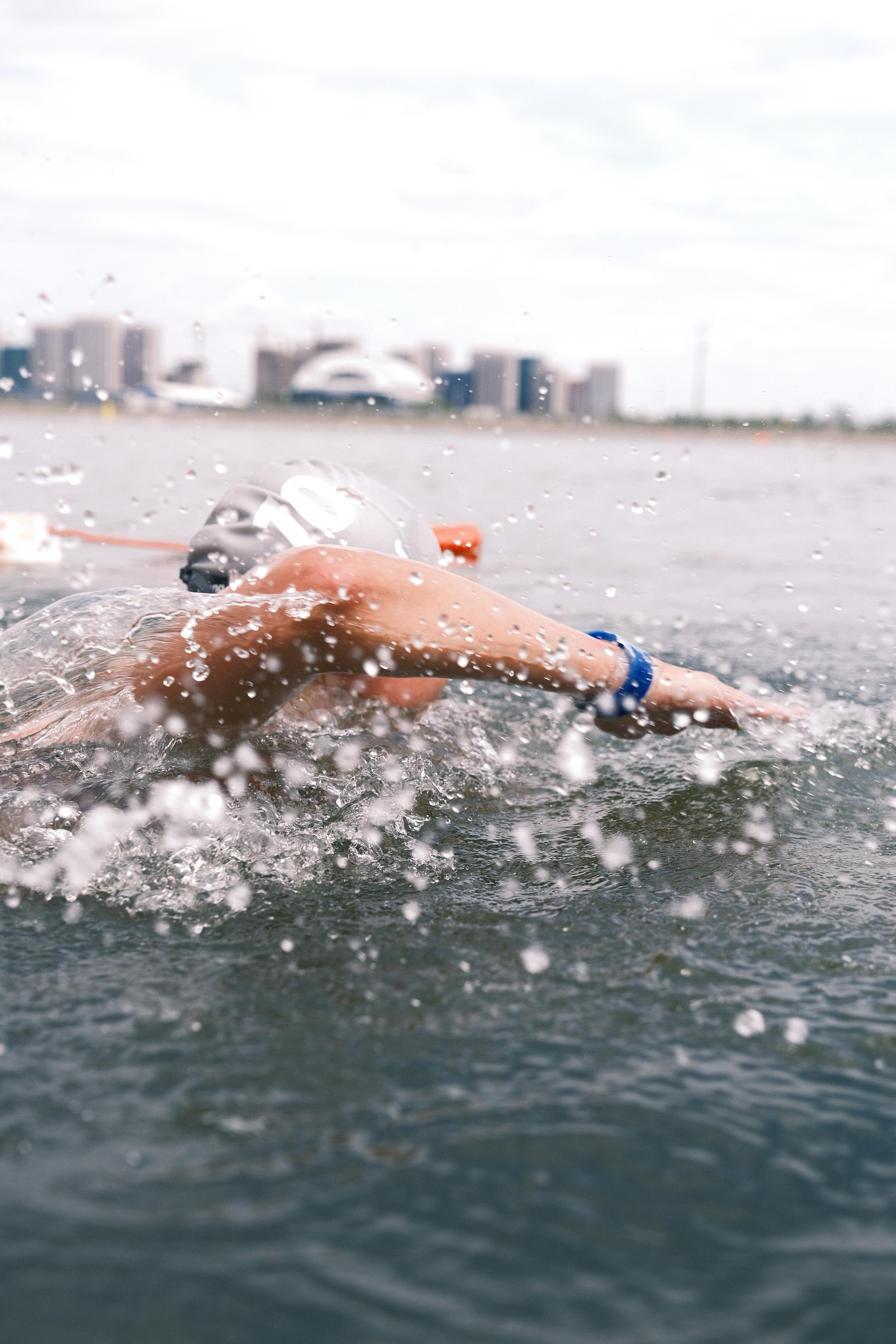 Плавание. Спортивный фотограф в Ростове-на-Дону Сергей Реусин