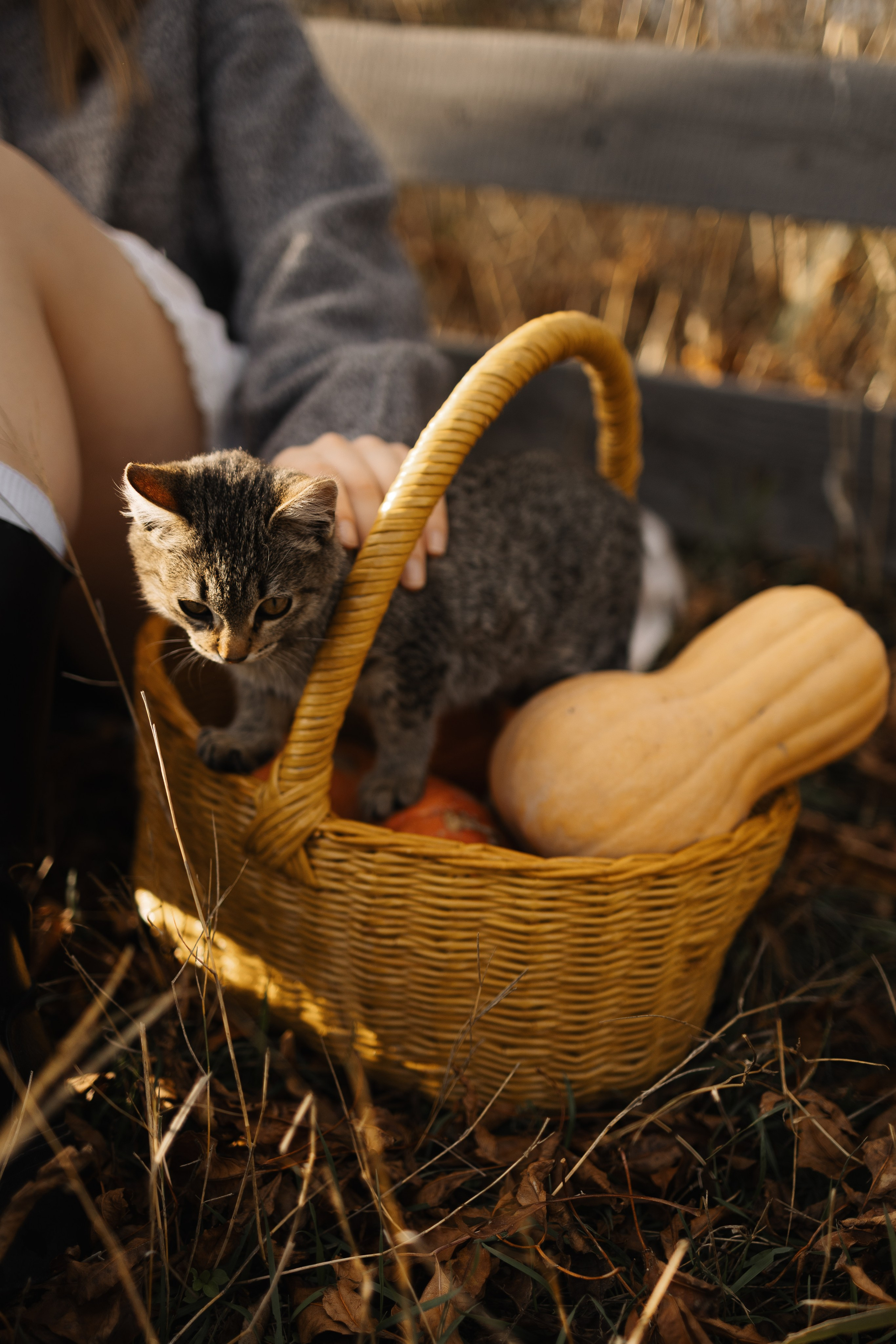 Настя и Вадим. Майорова Валерия Фотограф Ставрополь