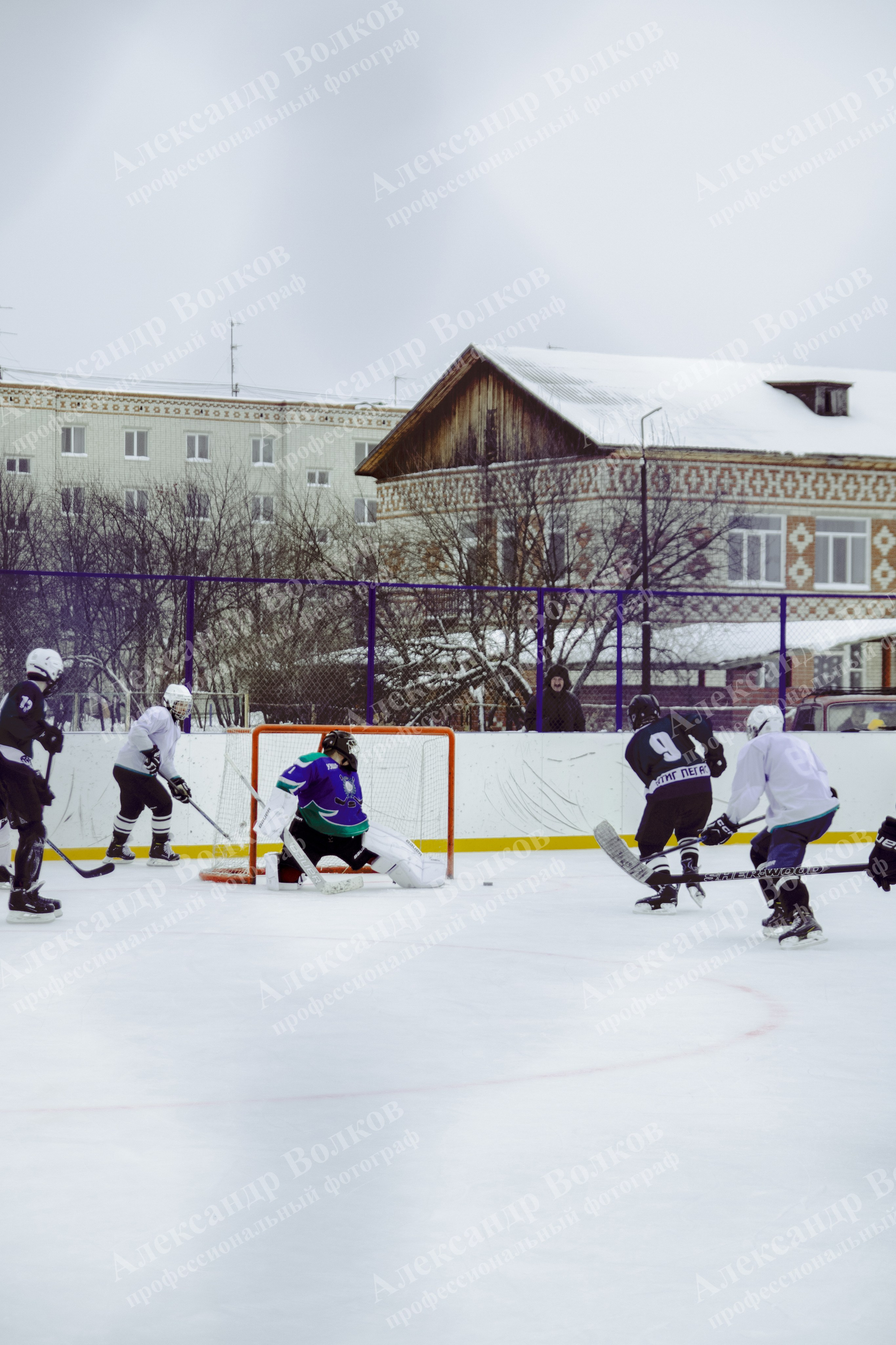Хоккей 29.12.2024