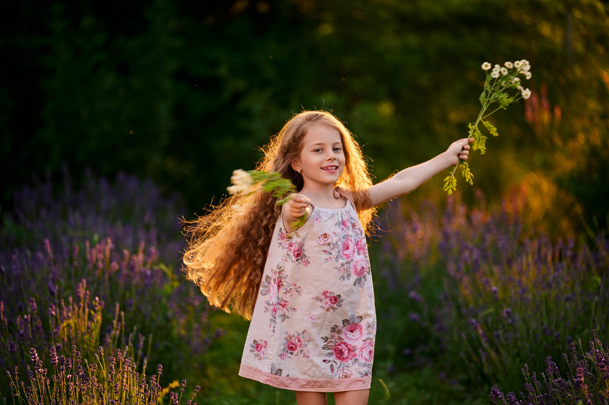 Лаванда на закате. Свадебный, семейный фотограф в Краснодаре