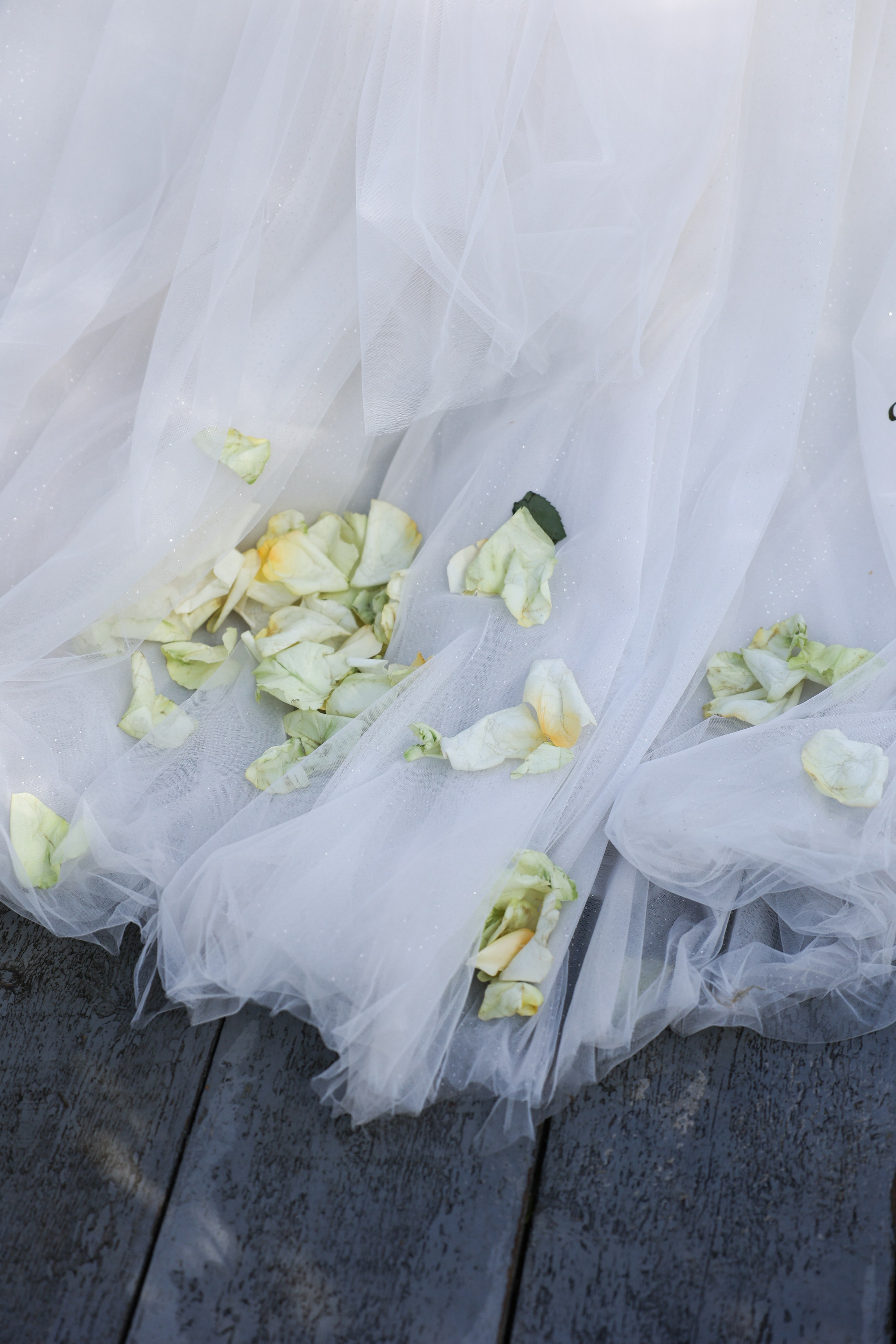 Green-house. Главная