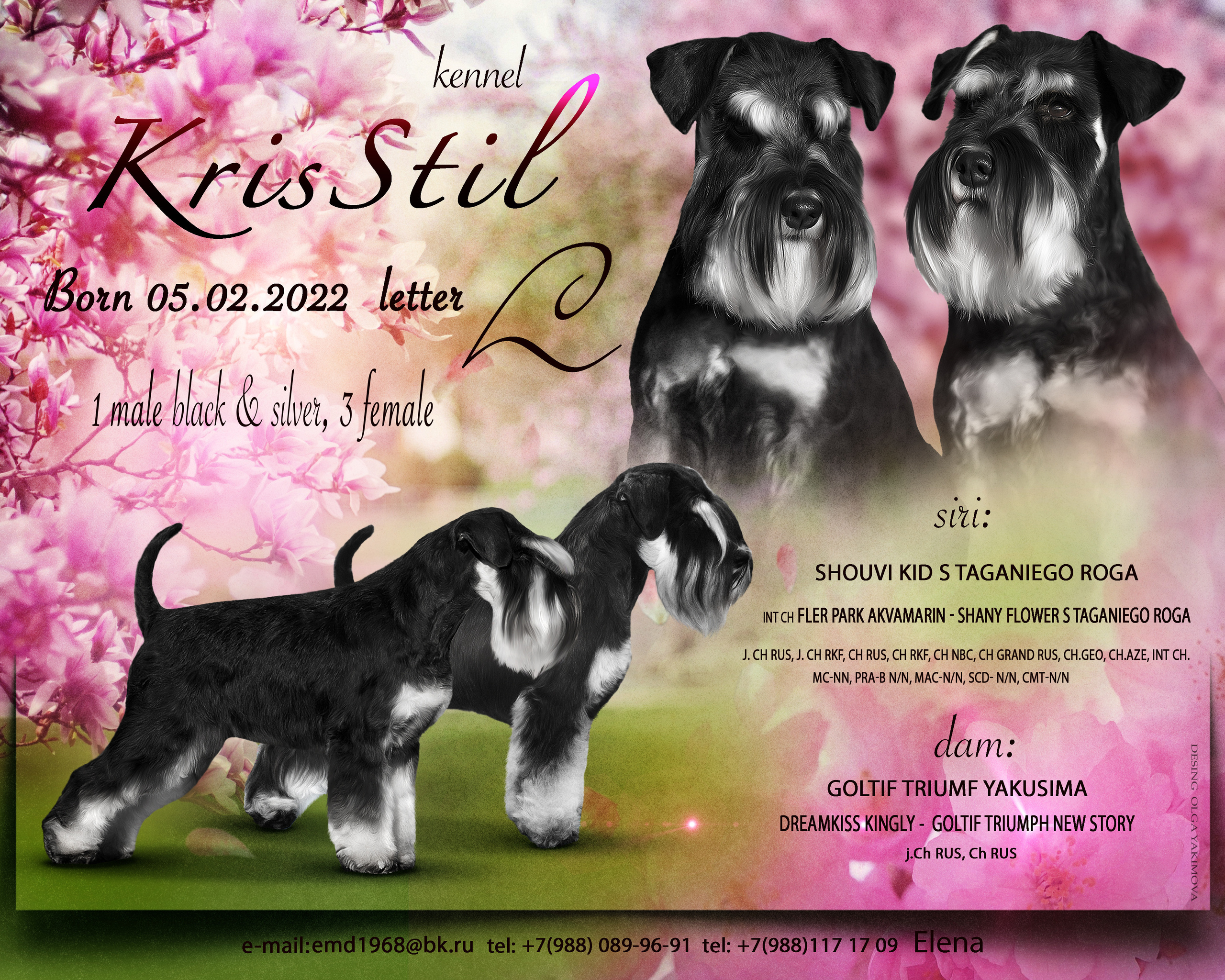 Animal presentation. Фотограф