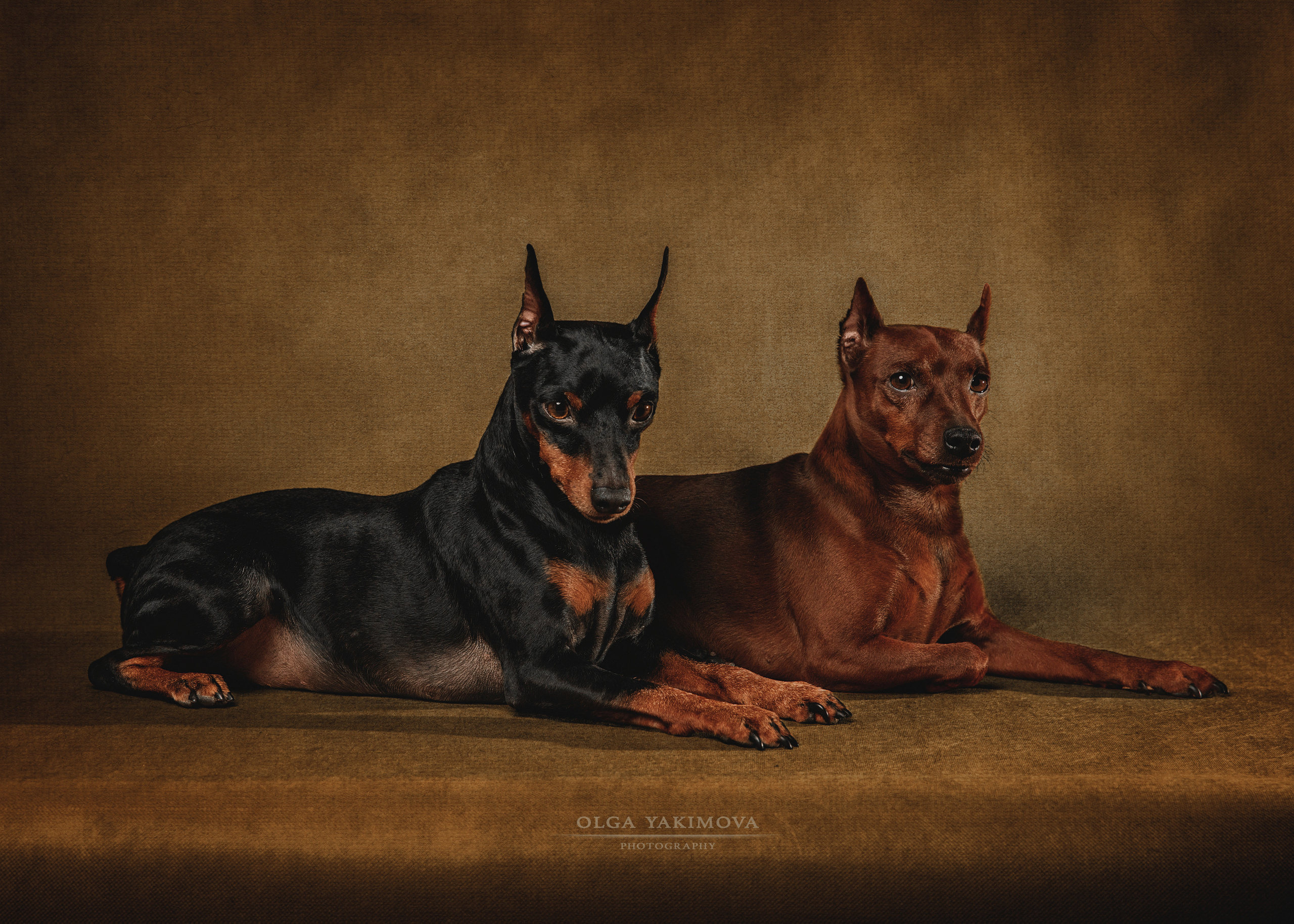 Экстерьер. Фотограф