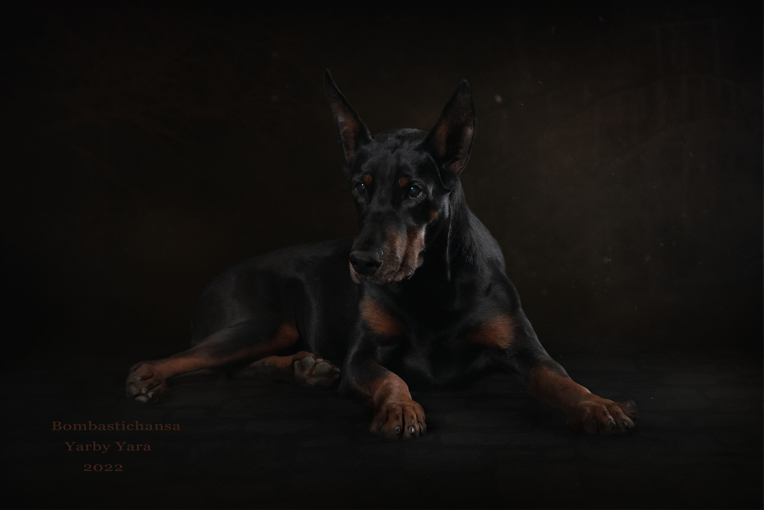 Экстерьер. Фотограф