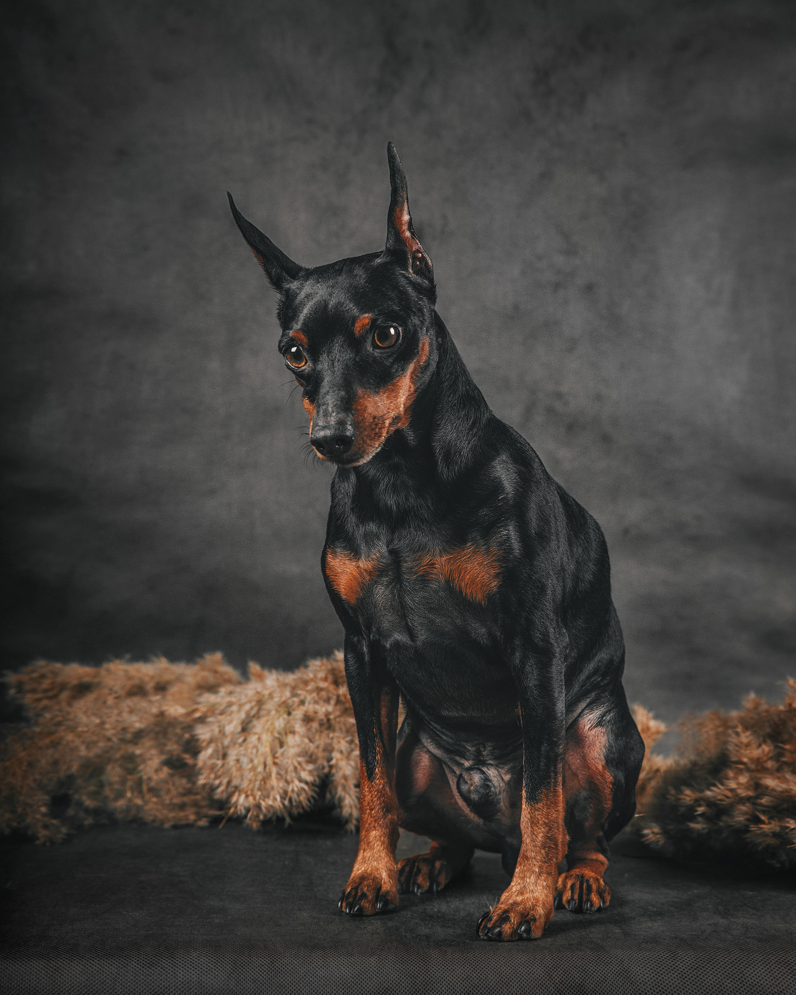 Экстерьер. Фотограф