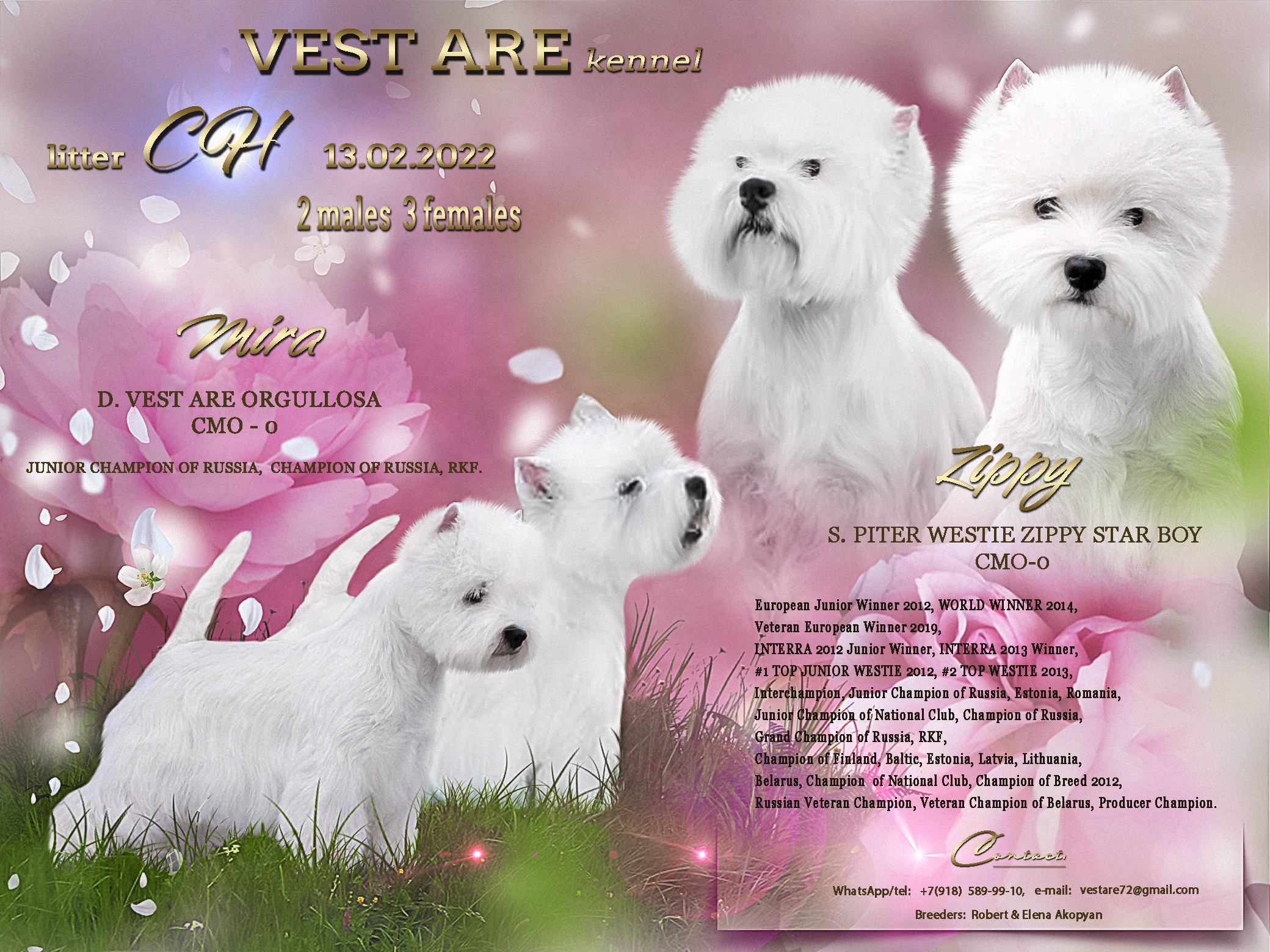 Animal presentation. Фотограф