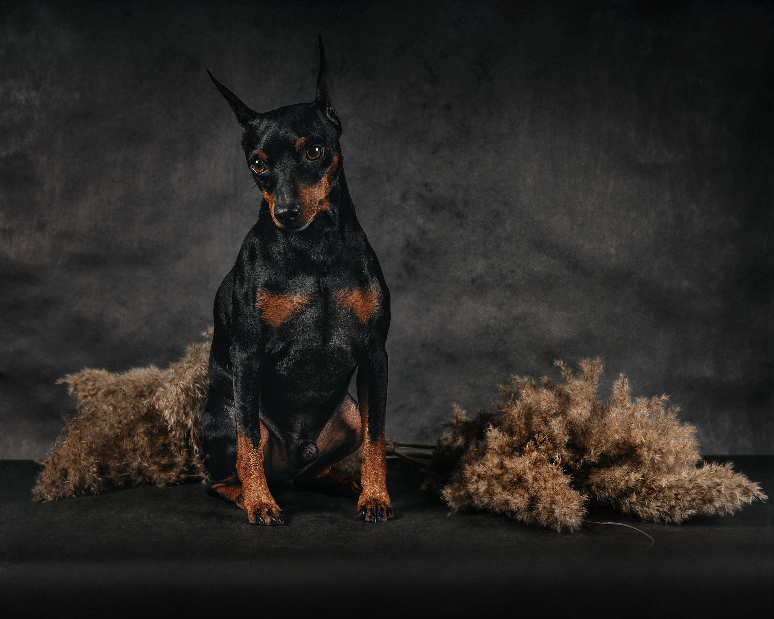 Экстерьер. Фотограф