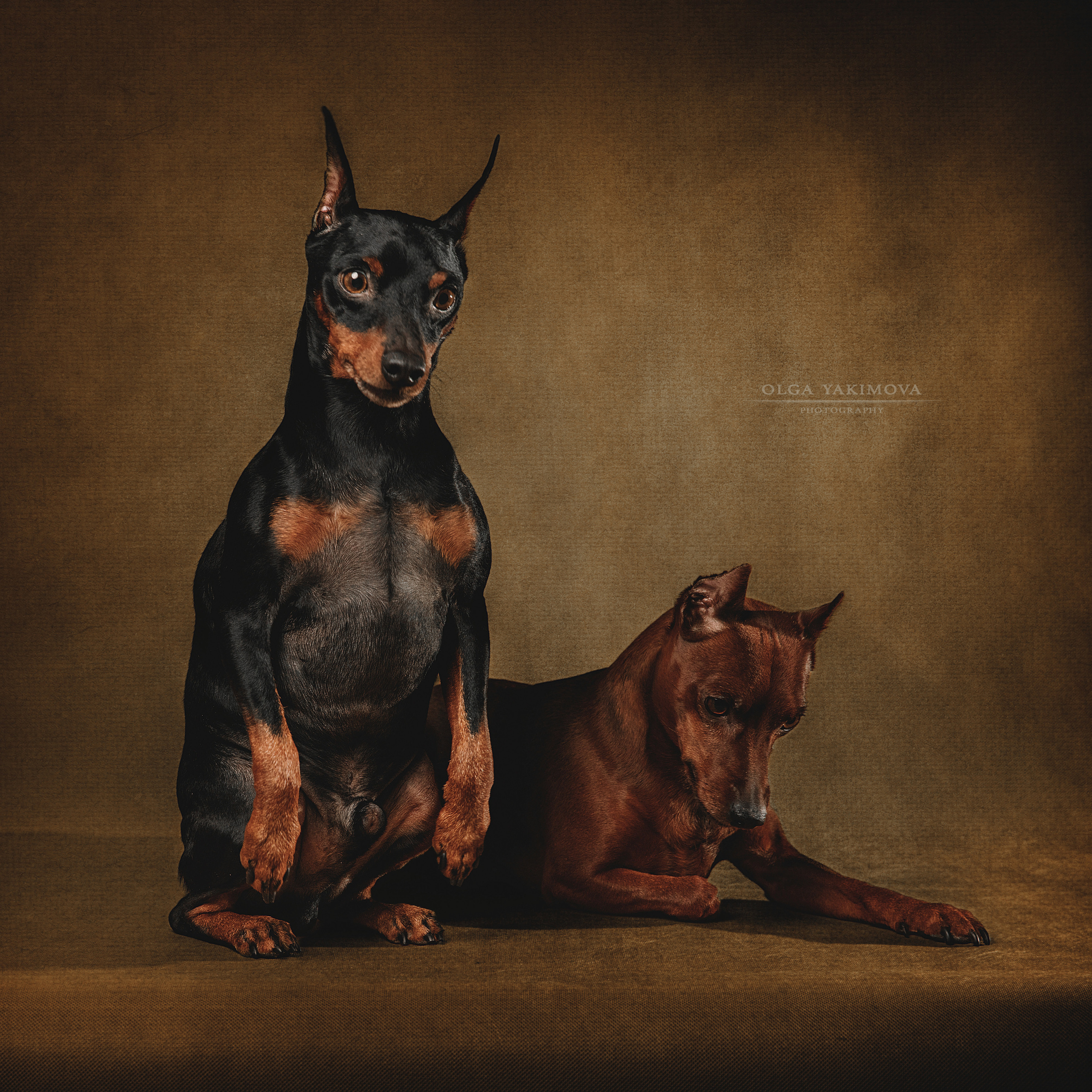 Экстерьер. Фотограф