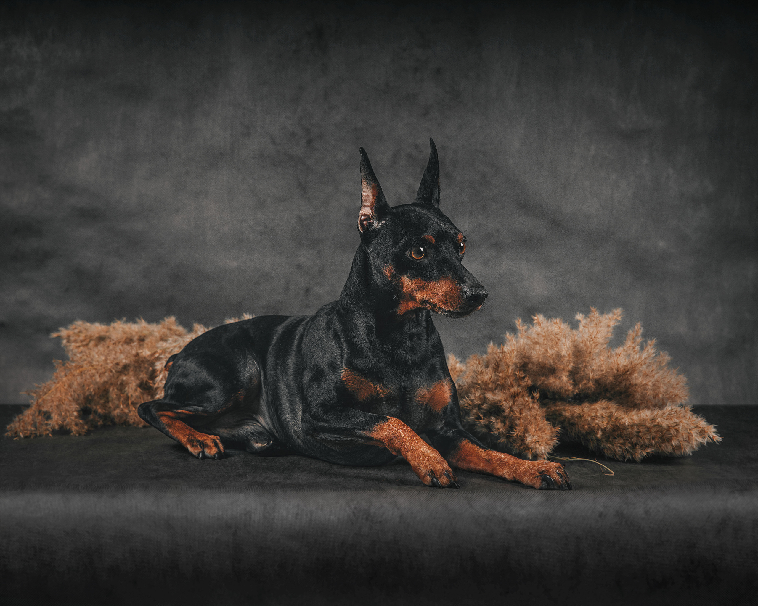 Экстерьер. Фотограф