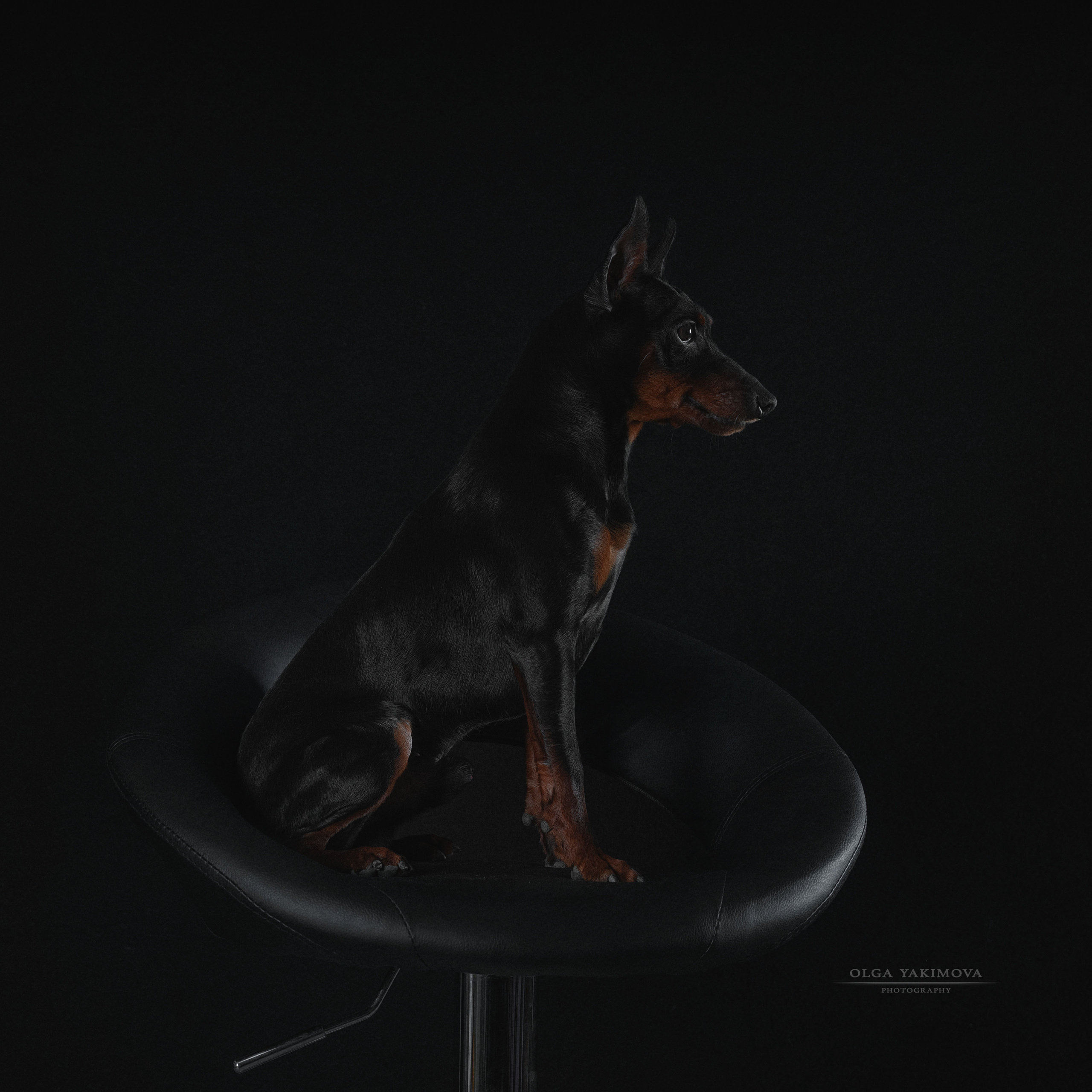 Экстерьер. Фотограф