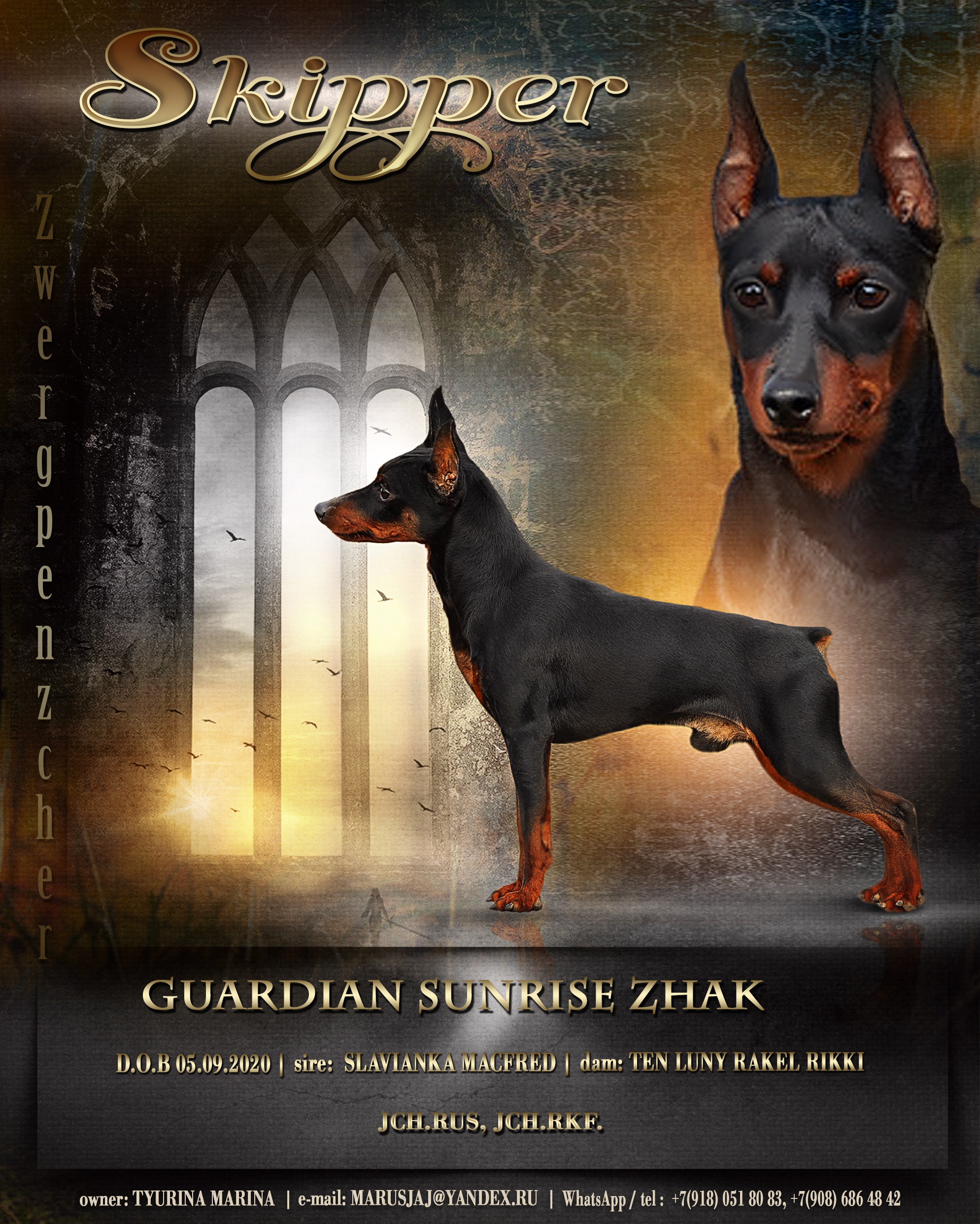 Animal presentation. Фотограф