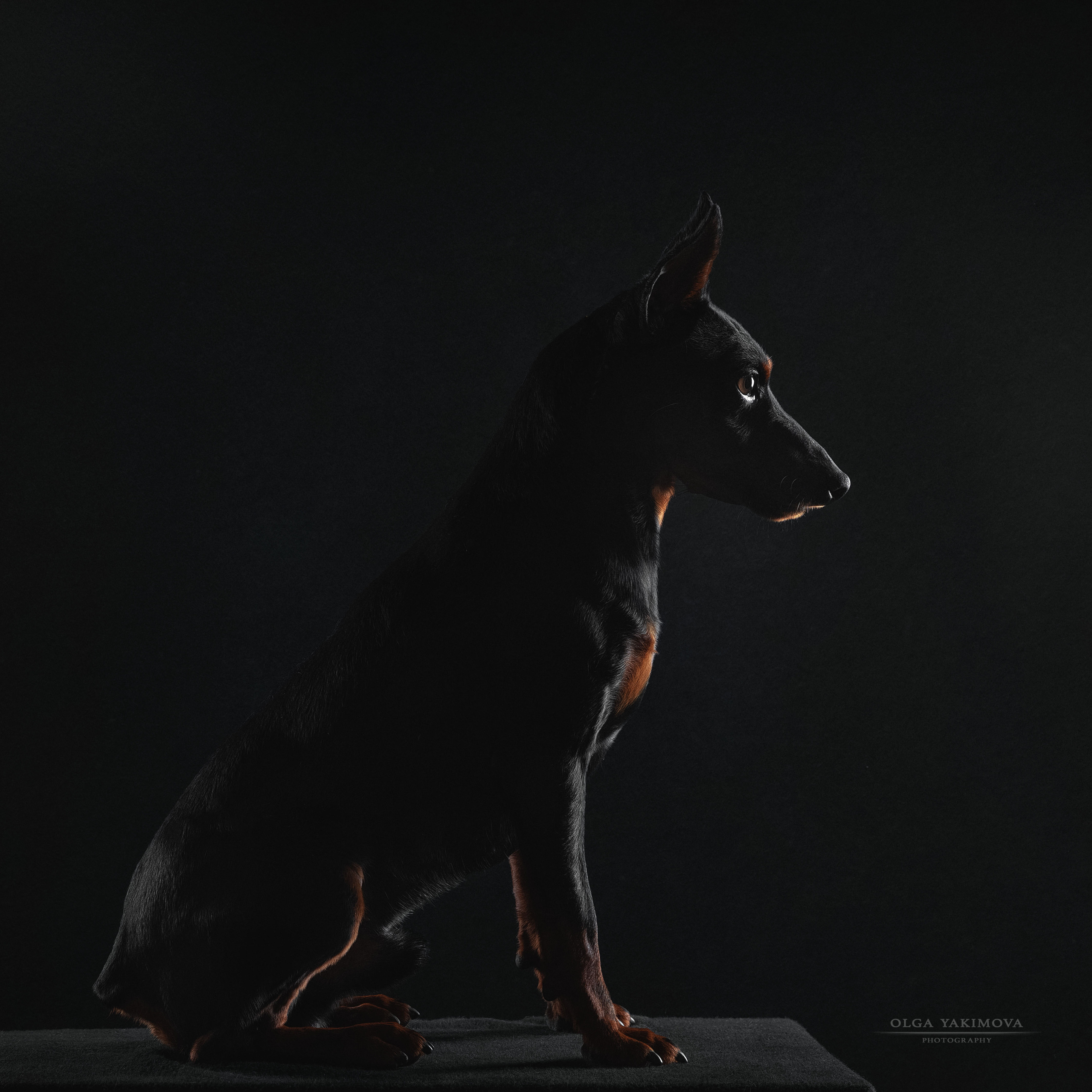 Экстерьер. Фотограф