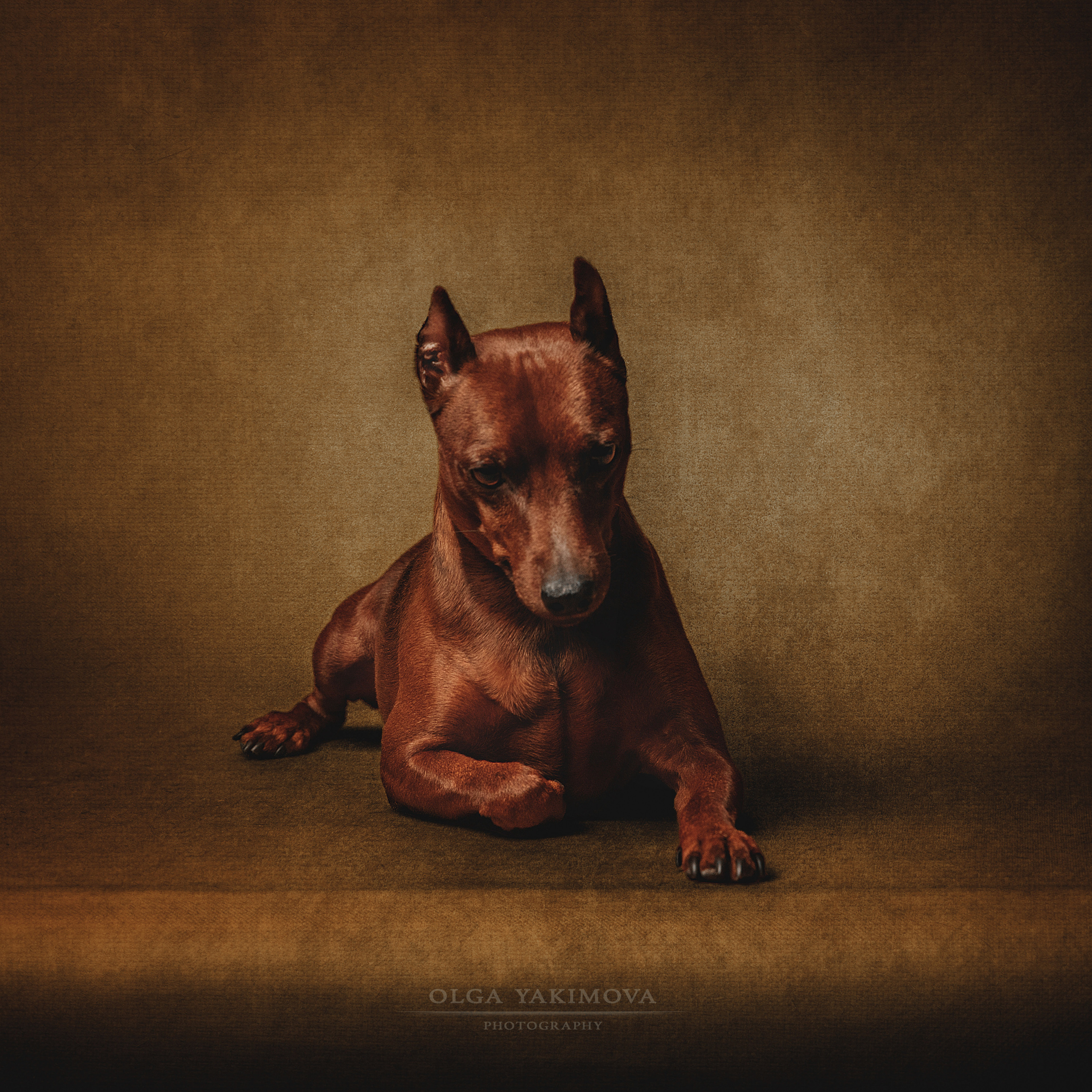 Экстерьер. Фотограф