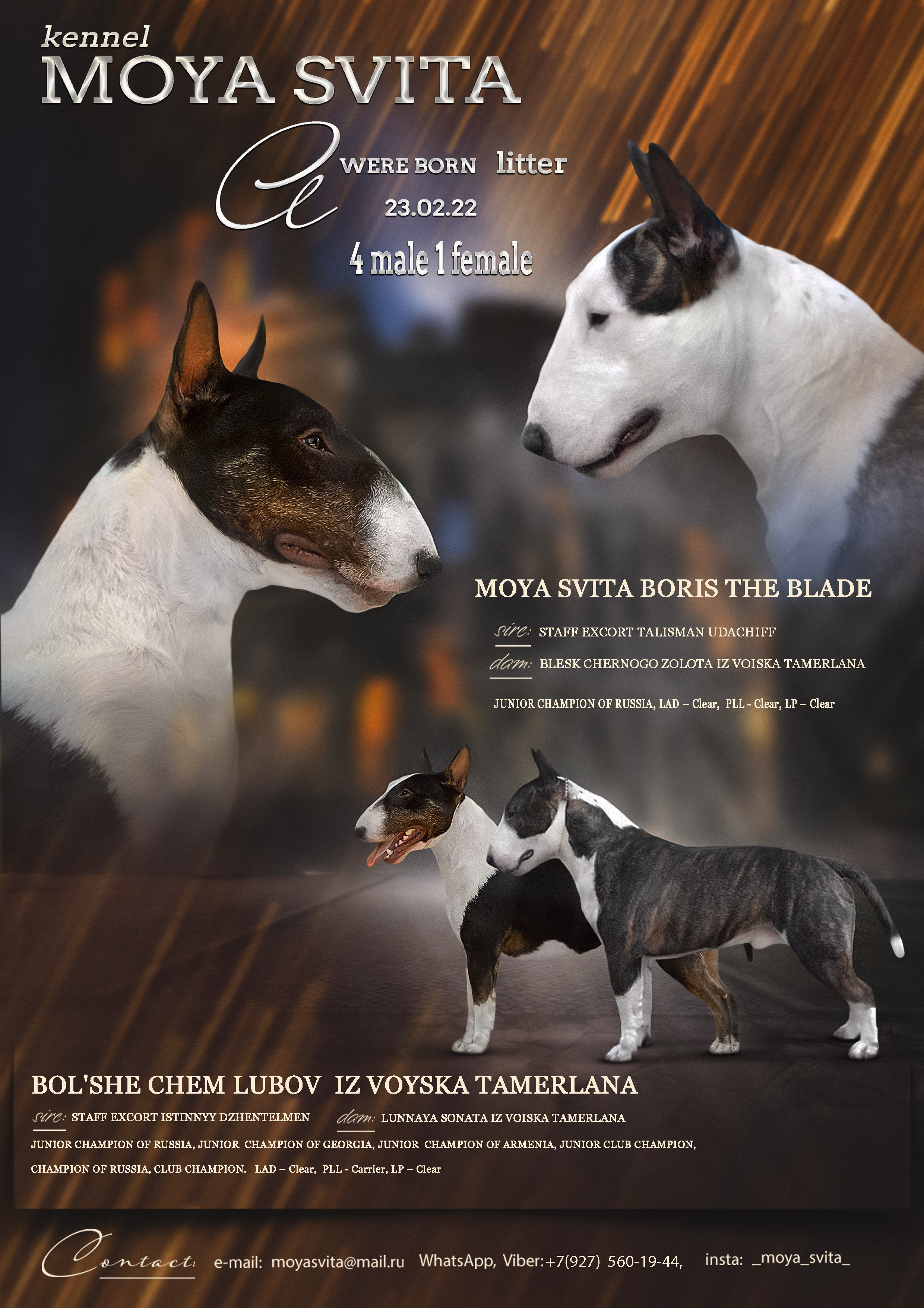 Animal presentation. Фотограф