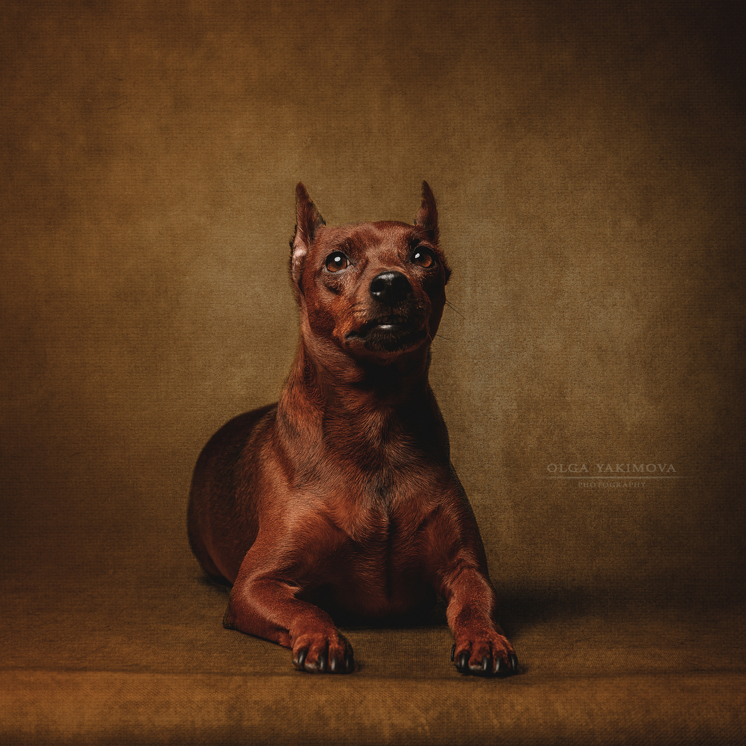 Экстерьер. Фотограф