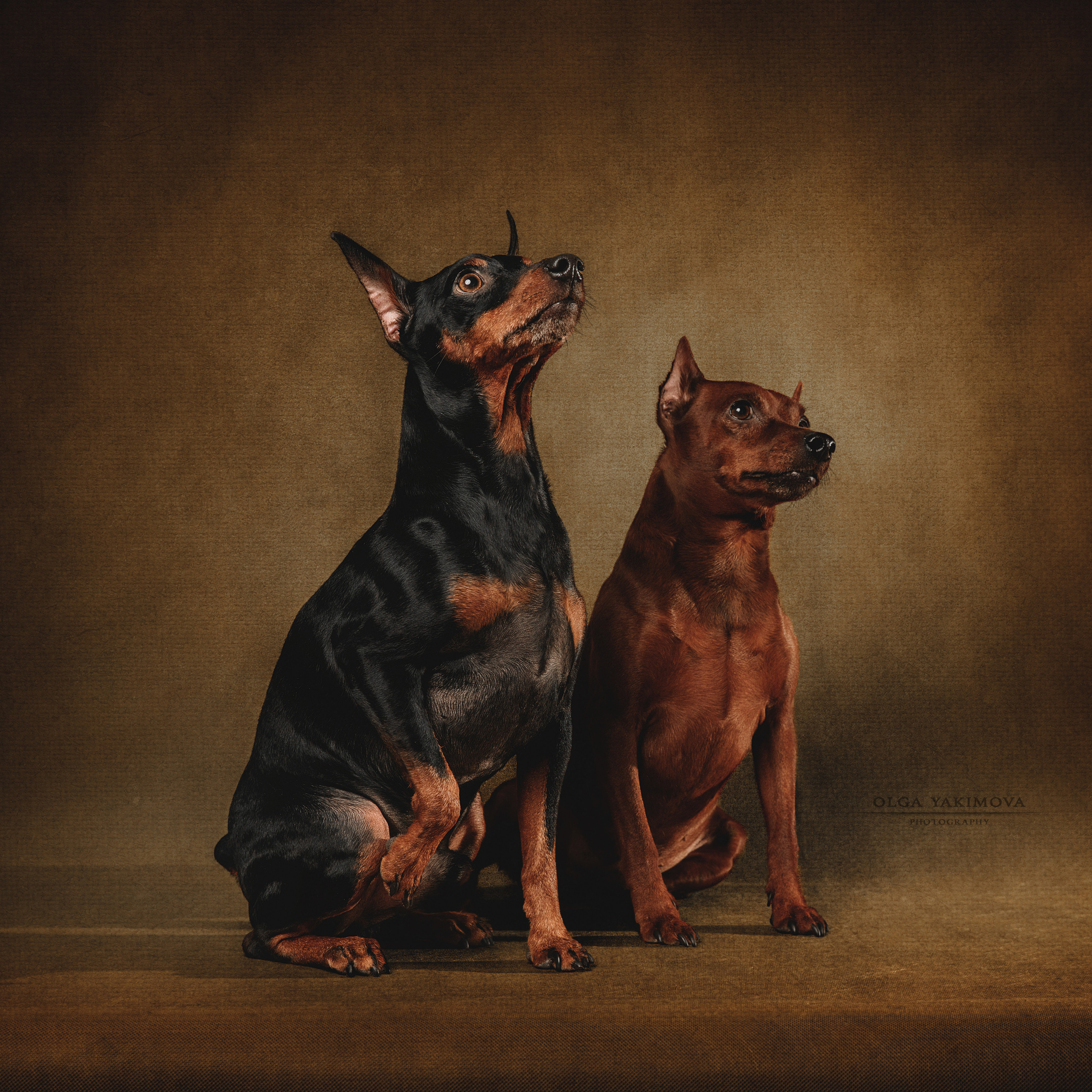 Экстерьер. Фотограф