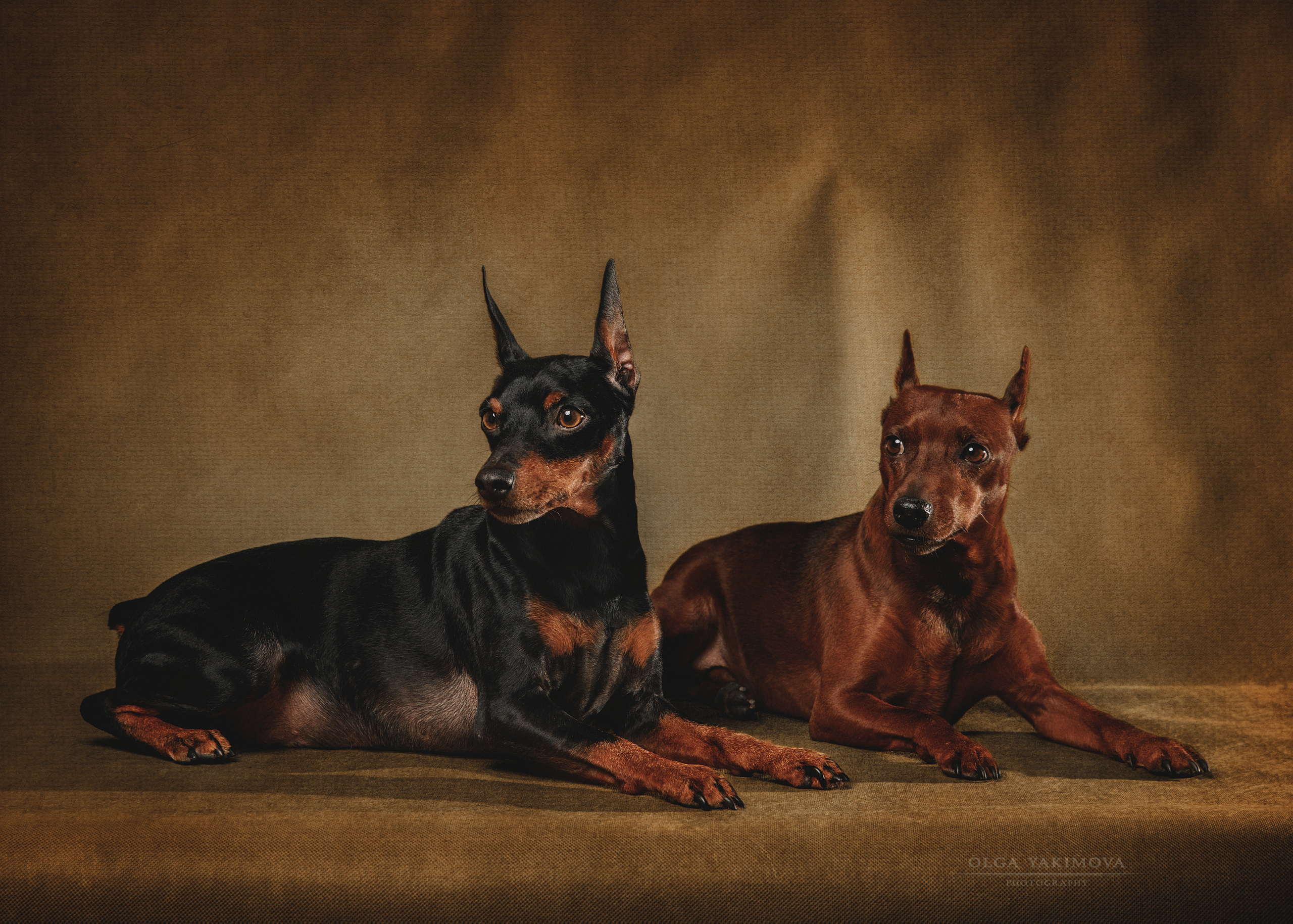 Экстерьер. Фотограф