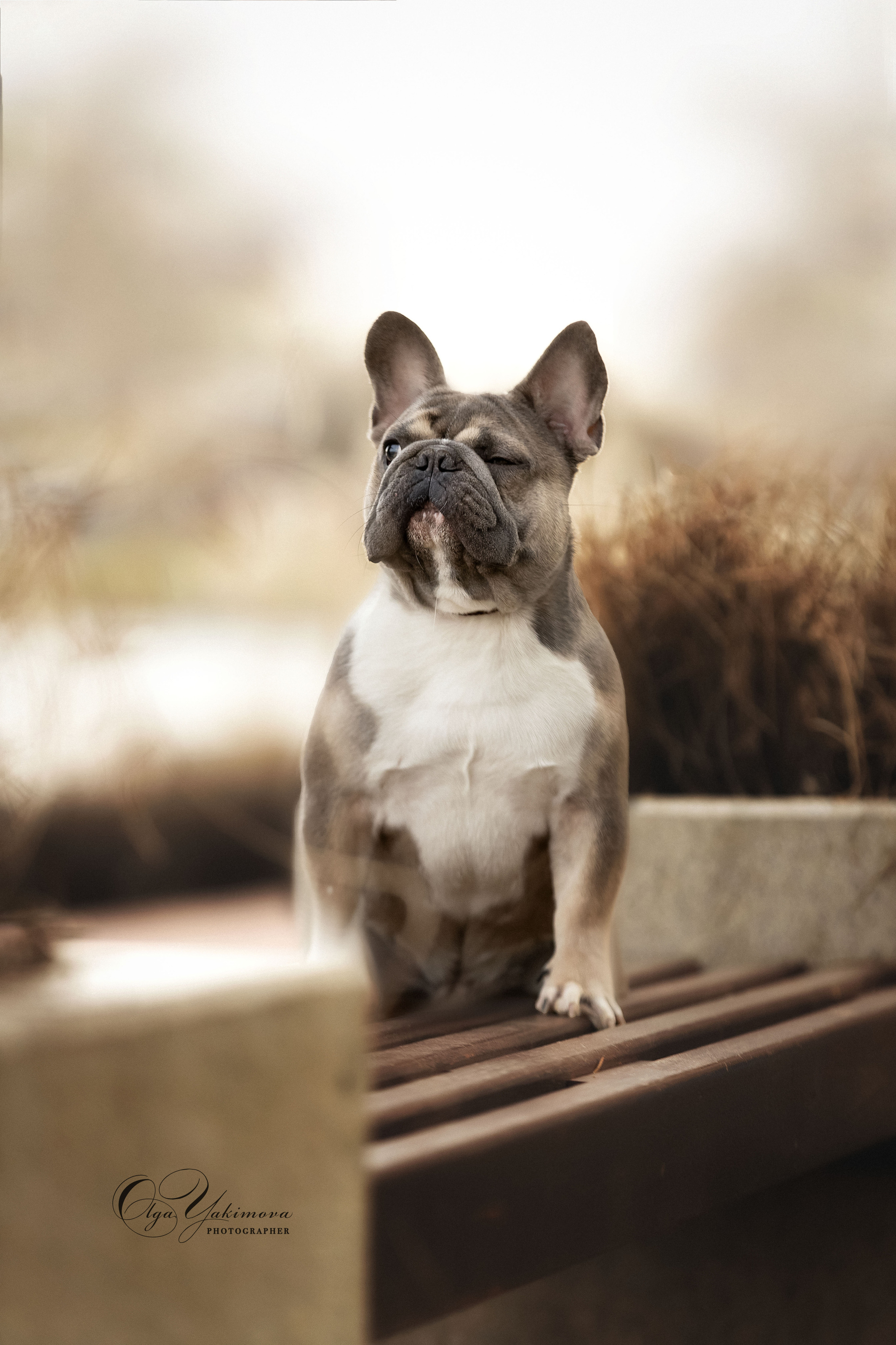 Экстерьер. Фотограф