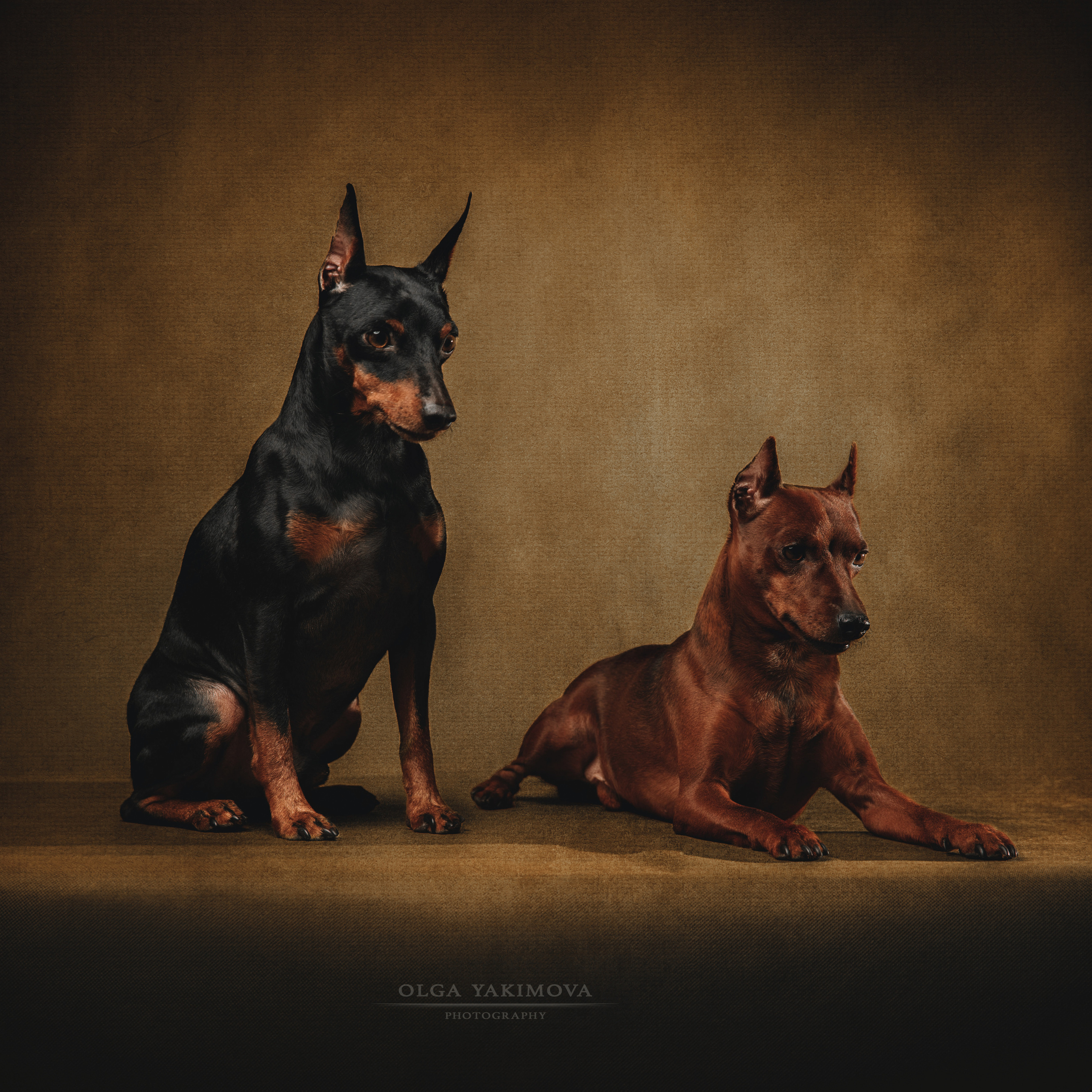 Экстерьер. Фотограф