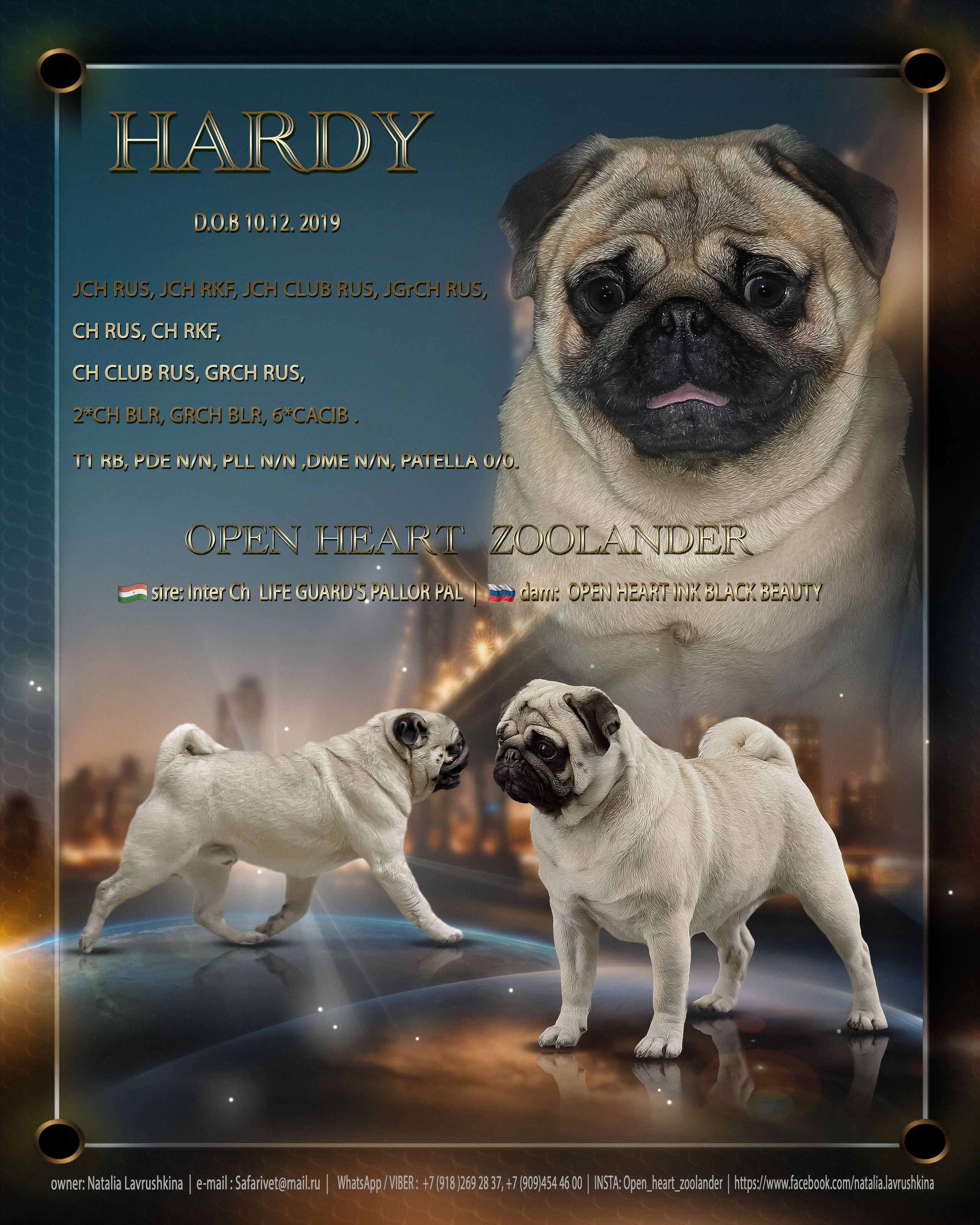 Animal presentation. Фотограф