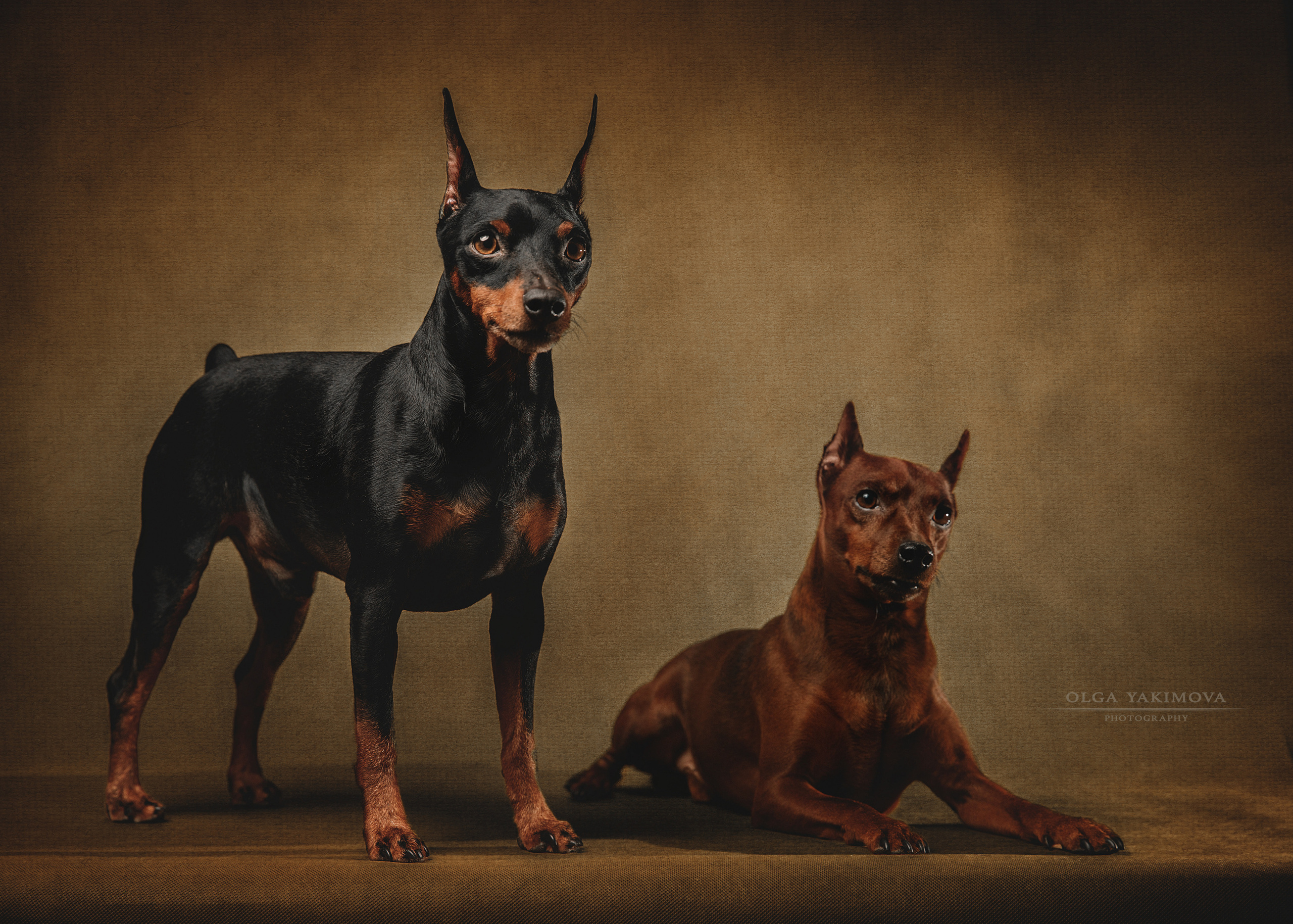 Экстерьер. Фотограф