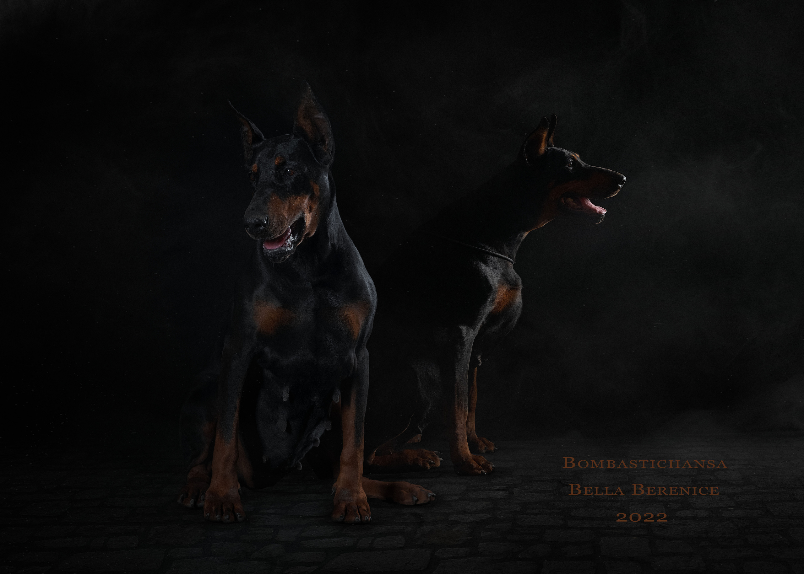 Экстерьер. Фотограф