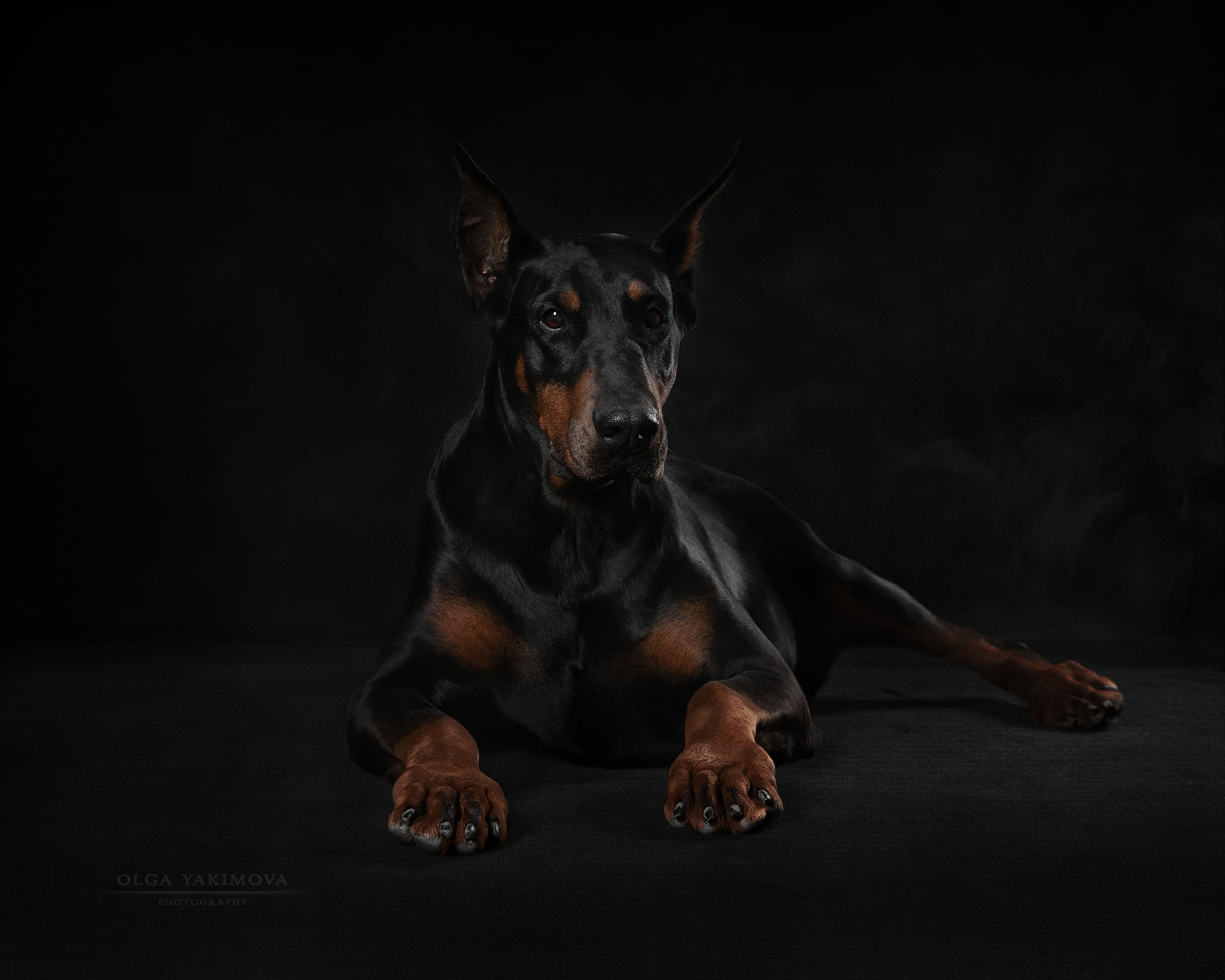 Экстерьер. Фотограф