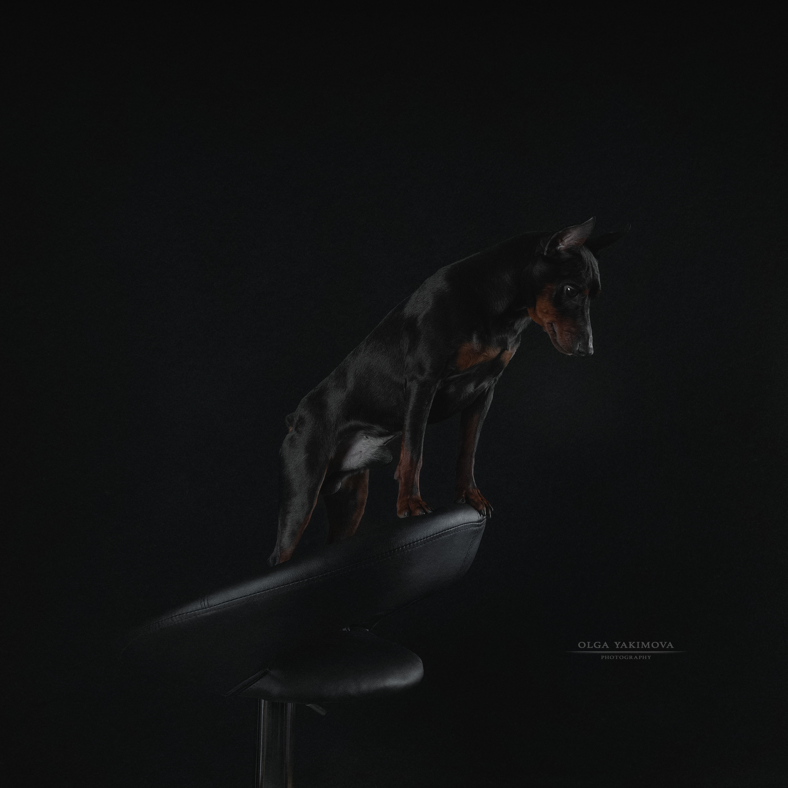 Экстерьер. Фотограф