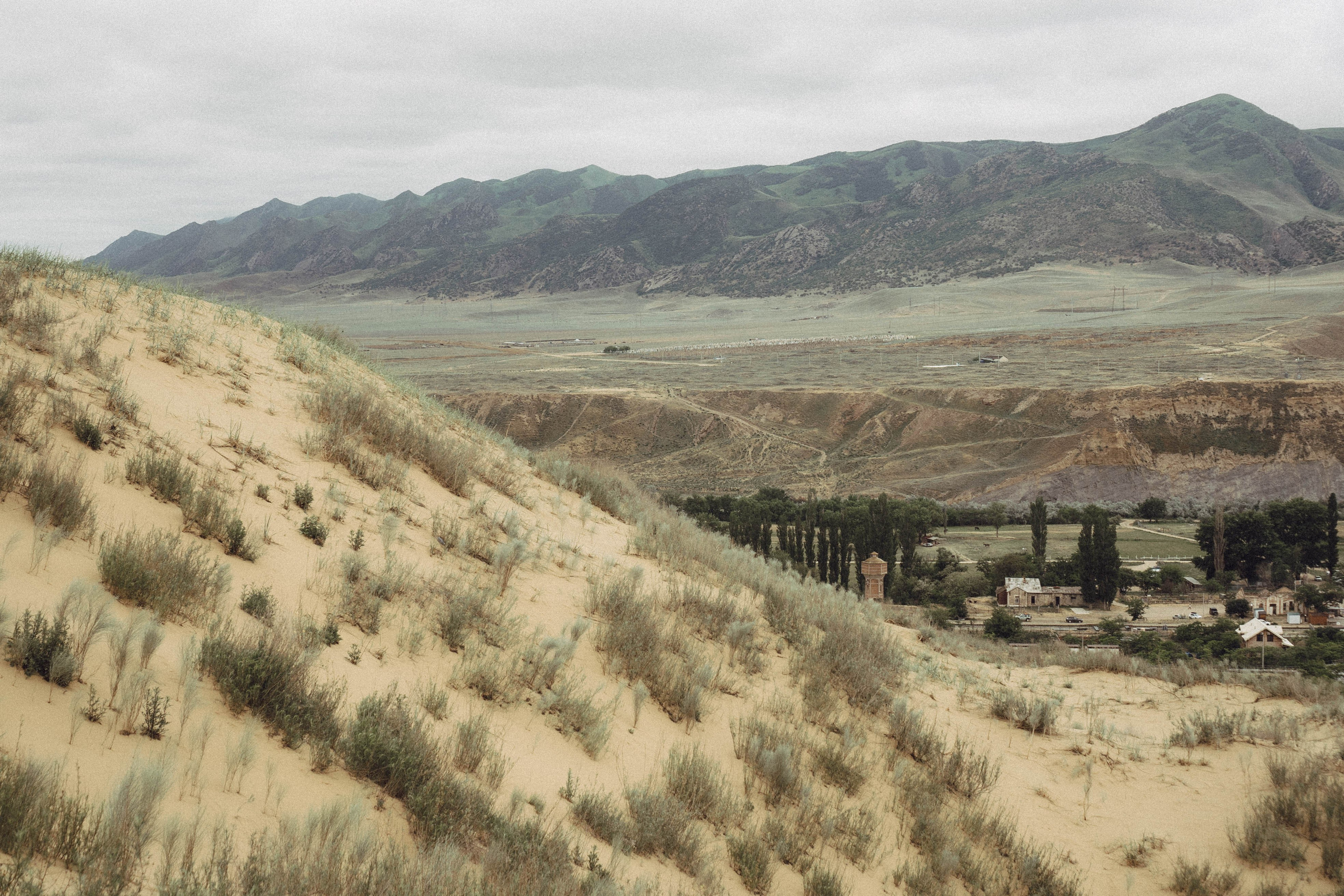 Кавказ. Профессиональный фотограф, Санкт-Петербург — Виктория Богомолова