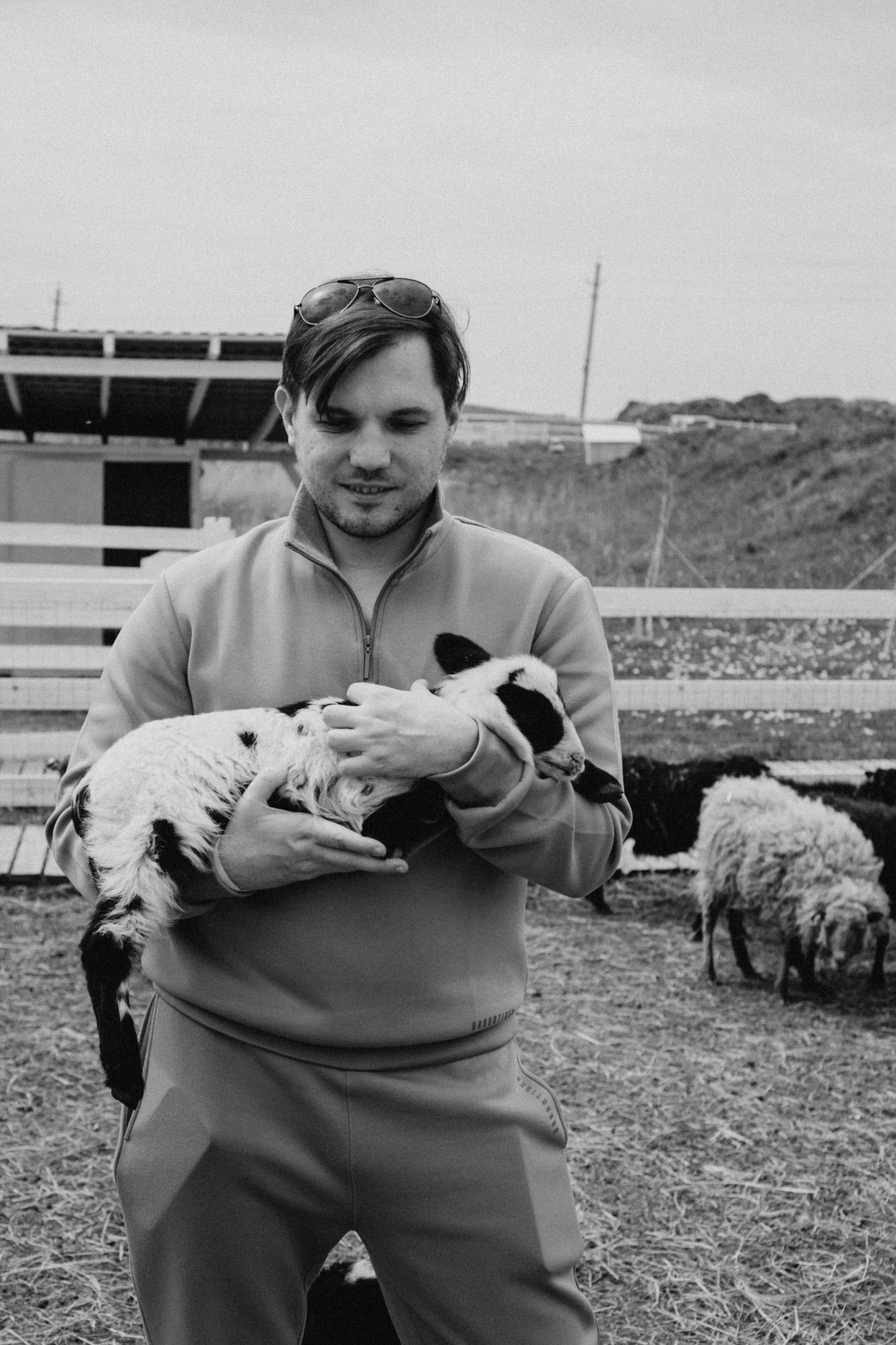 Ферма Альпак. Профессиональный фотограф, Санкт-Петербург — Виктория Богомолова