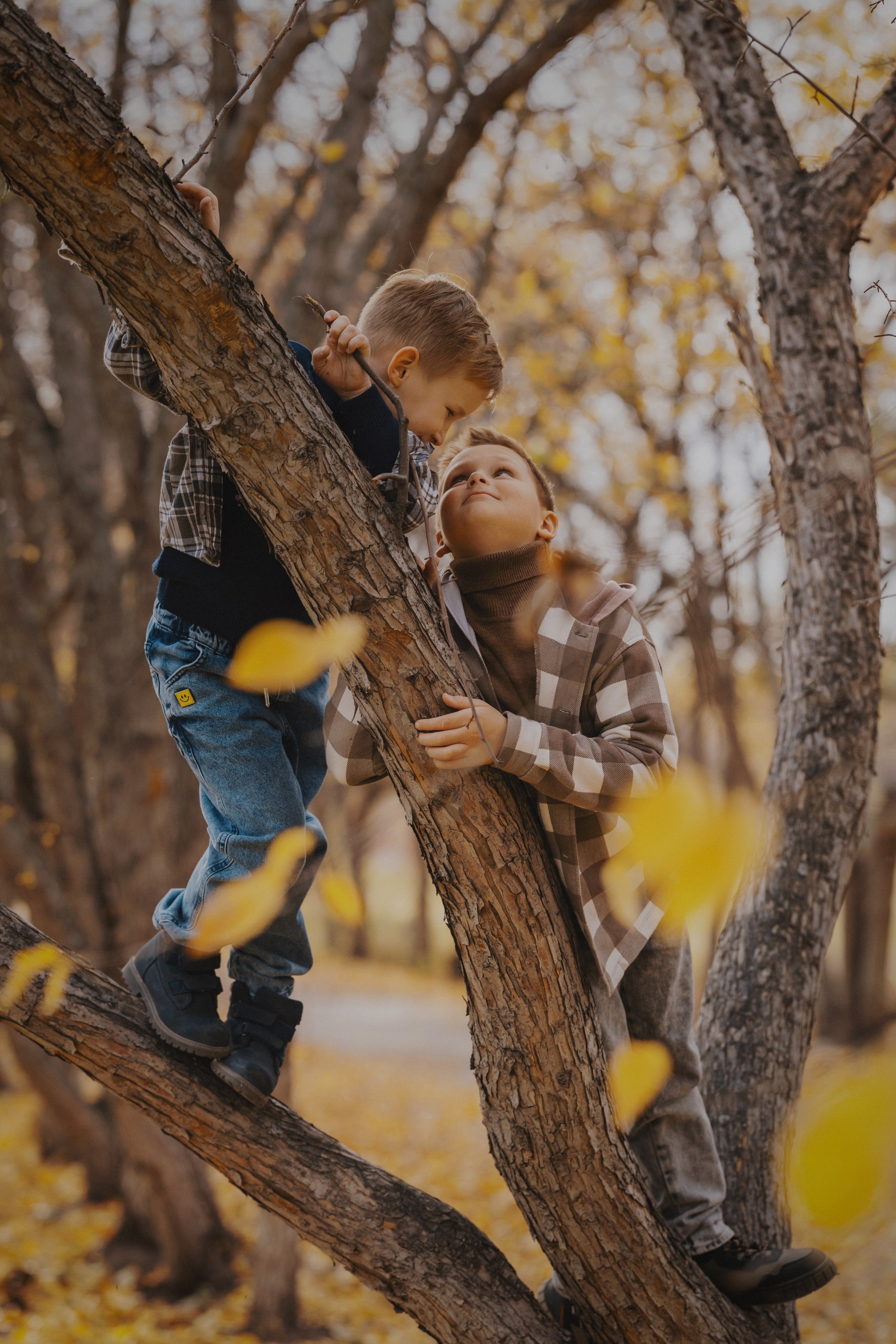 Семья. Семейный, детский и портретный фотограф Юлия Зыкова город Тюмень