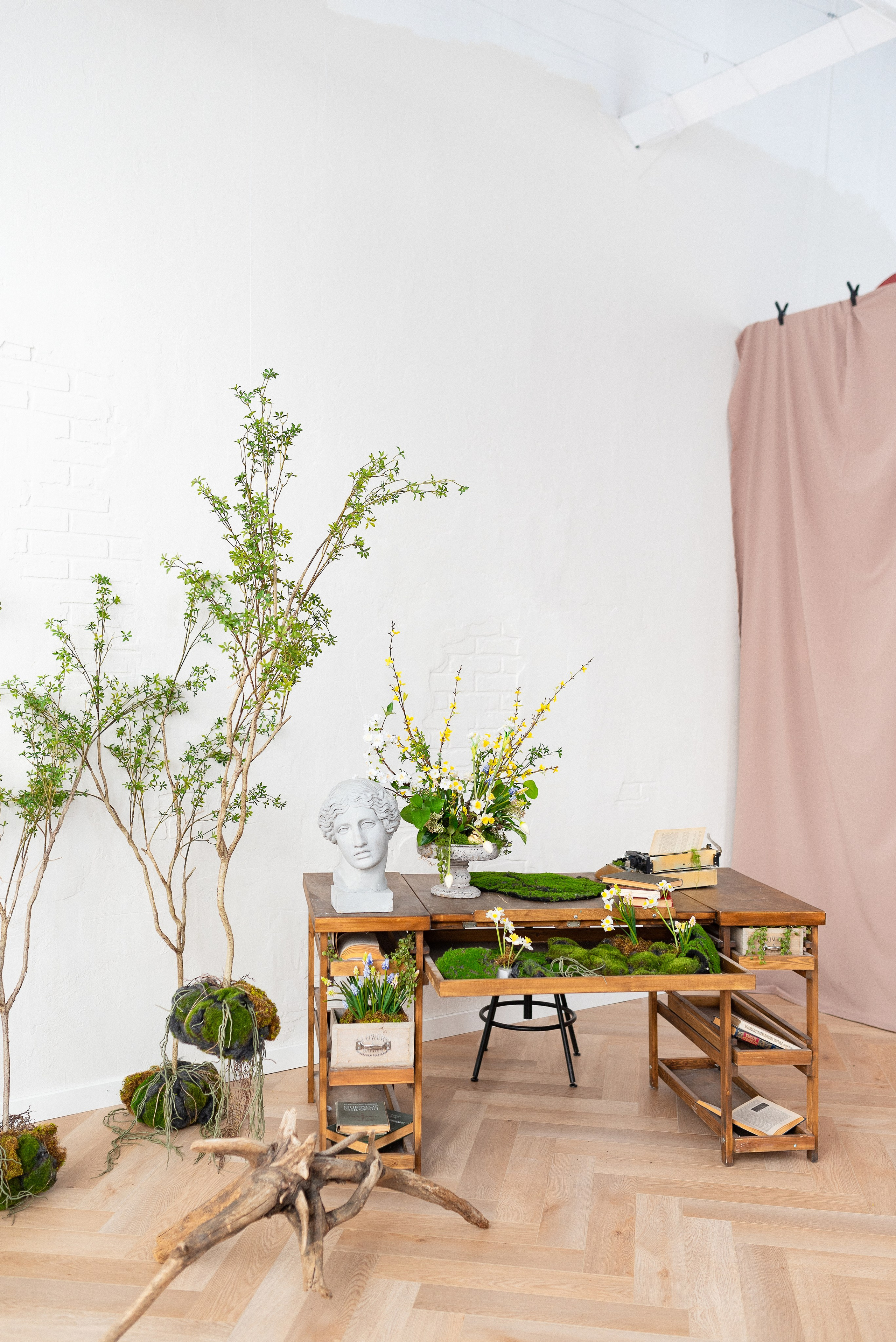 Фотостудия Питер в Сургуте. Детский и семейный фотограф в Сургуте и Нефтеюганске Анна Старцева